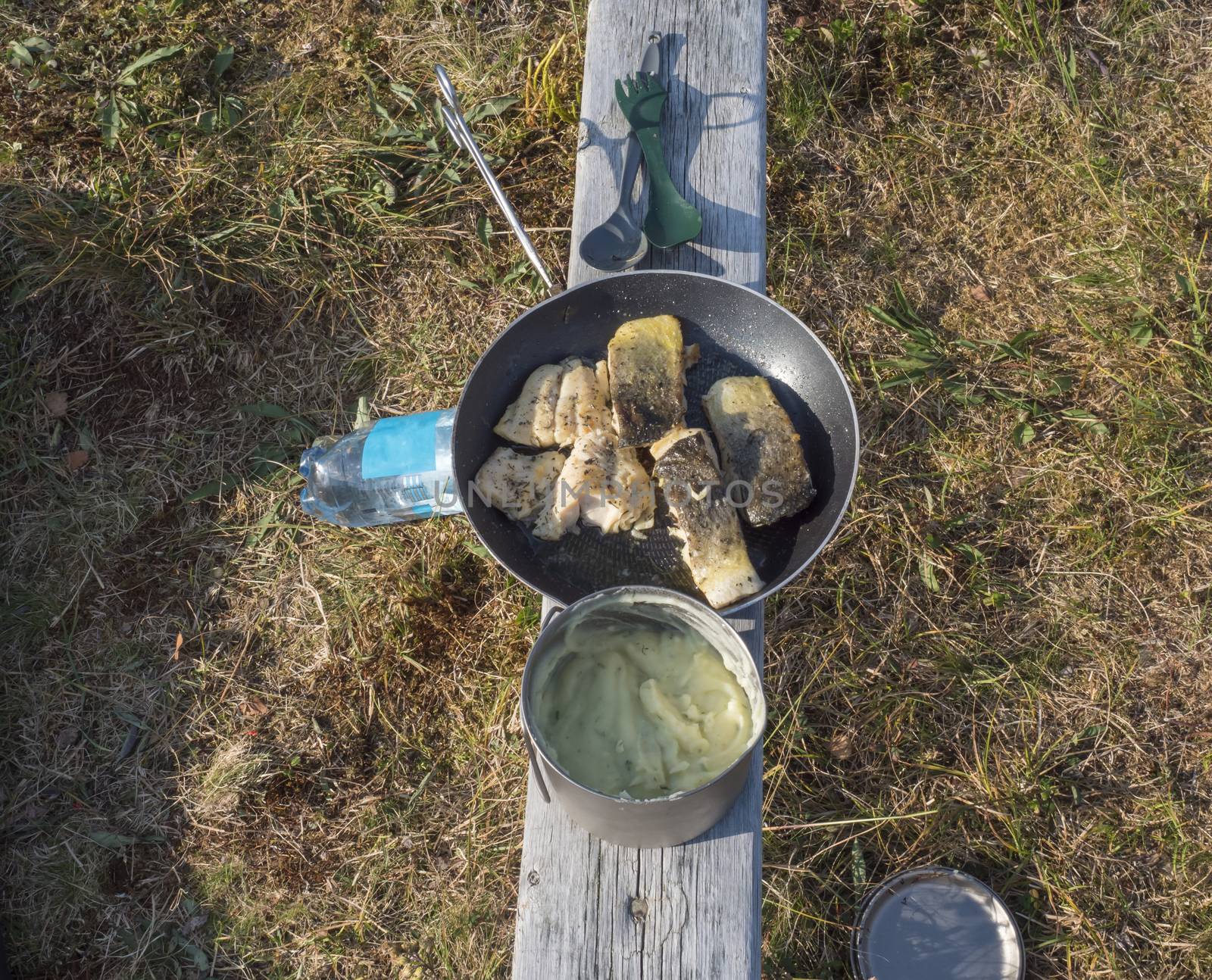 Freshly cooked mashed potatoes and fried trout fish fillets on cooking pan and mess tin on wooden board. Outdoor camping cooking