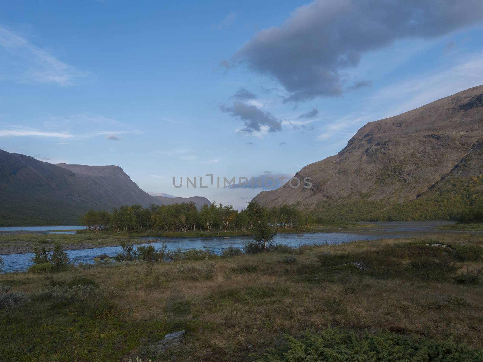 Confluence of wild Tjaktjajakka river and Kaitumjaure lake with small birch tree forest island and mountains. Lapland nature landscape in summer at Kungsleden hiking trail