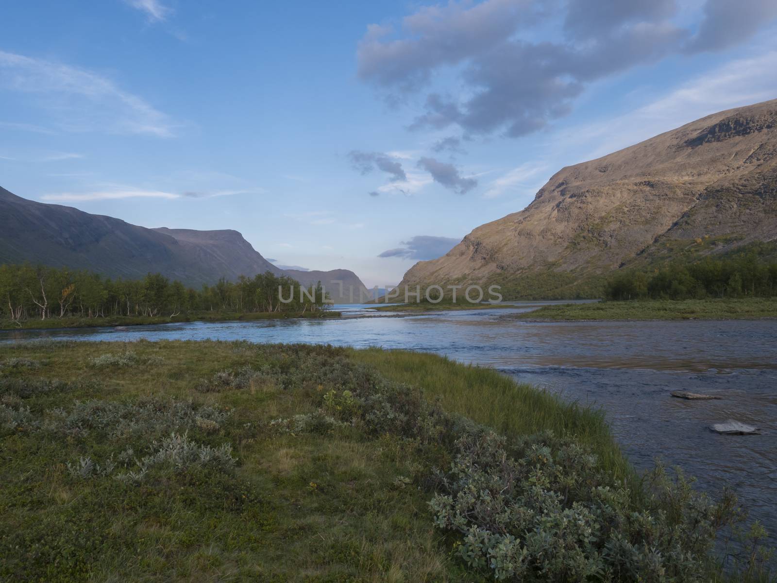 Confluence of wild Tjaktjajakka river and Kaitumjaure lake with small birch tree forest island and mountains. Lapland nature landscape in summer at Kungsleden hiking trail