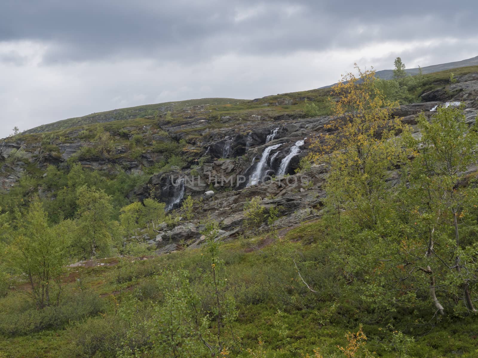 waterfall cascade, birch tree forest and mountains. Lapland nature landscape in summer, moody sky. by Henkeova