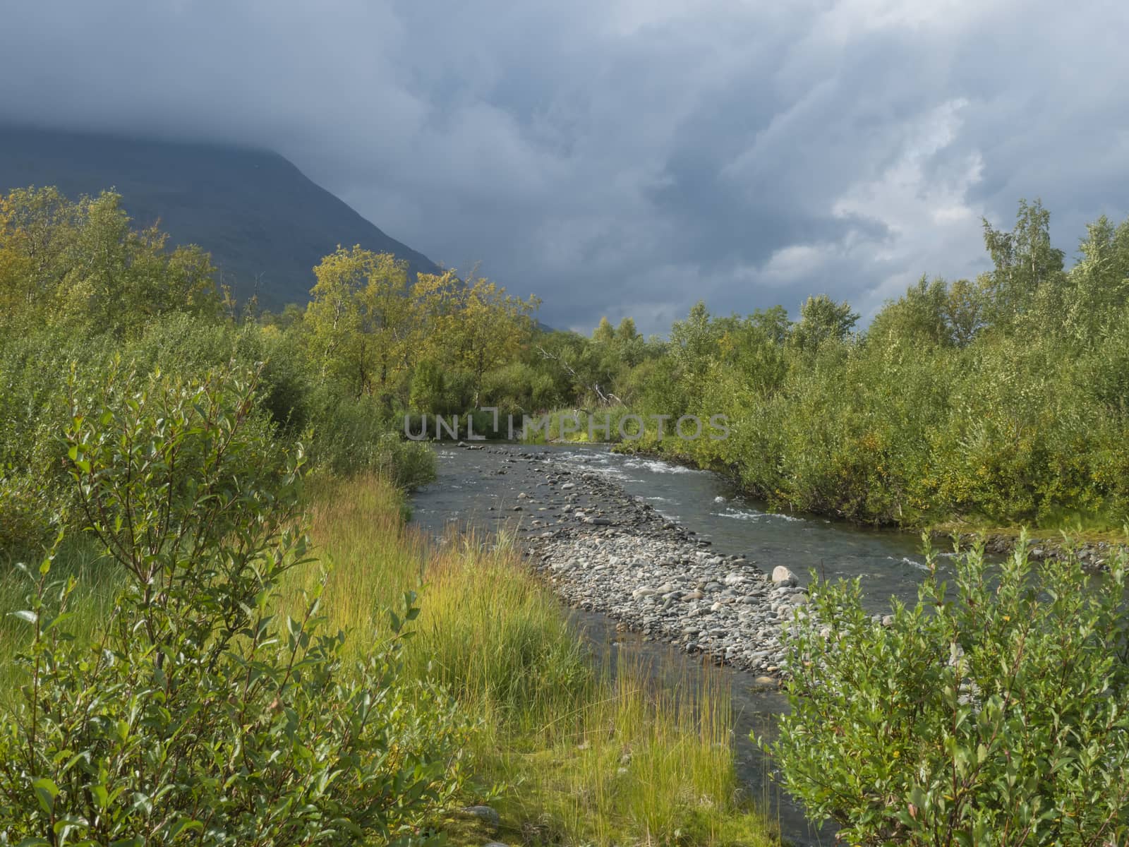 wild river with birch tree forest and mountains in golden light. Lapland nature landscape in summer, moody sky