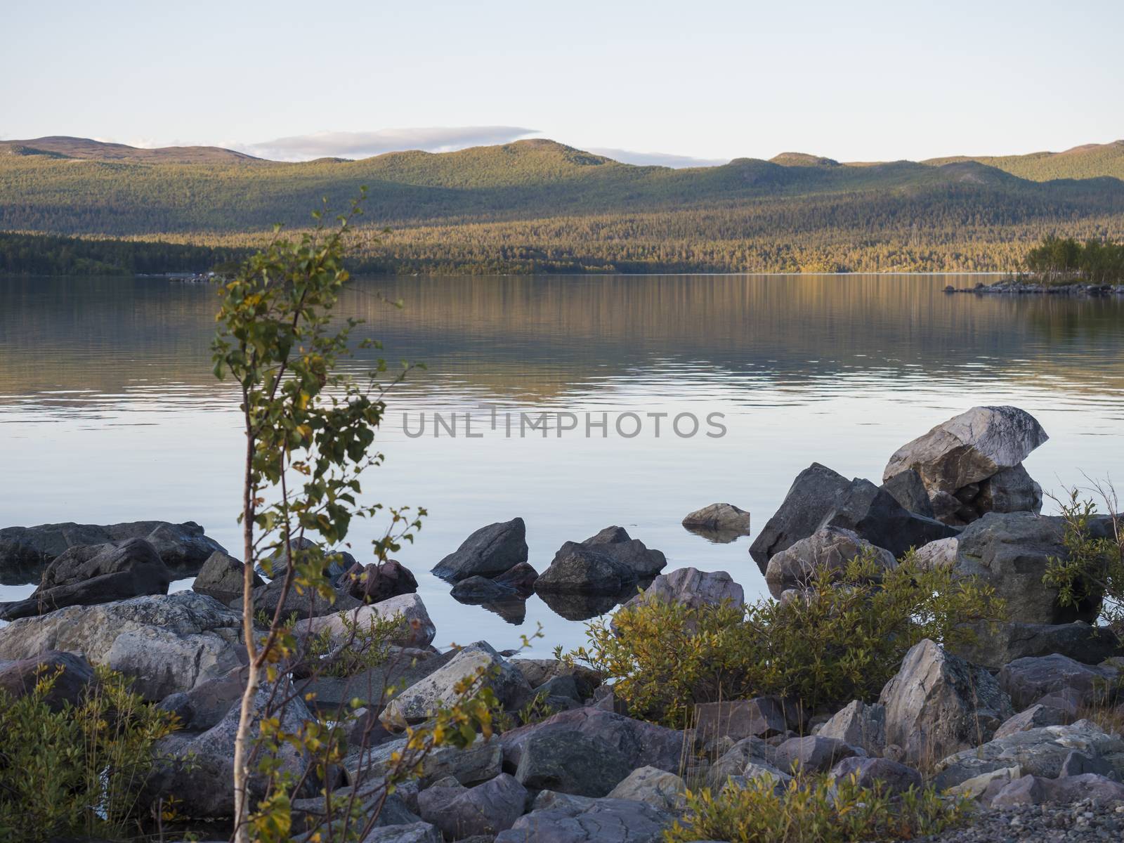 View on river Lulealven in Saltoluokta in Sweden Lapland during sunset golden hour. Green mountain, birch trees, rock boulders clouds and sky and clear the water. by Henkeova