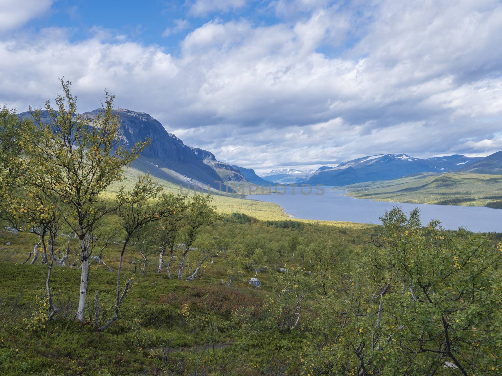 Lapland landscape with beautiful river Lulealven, snow capped mountain, birch tree and footpath of Kungsleden hiking trail near Saltoluokta, north of Sweden wild nature. Summer blue sky by Henkeova