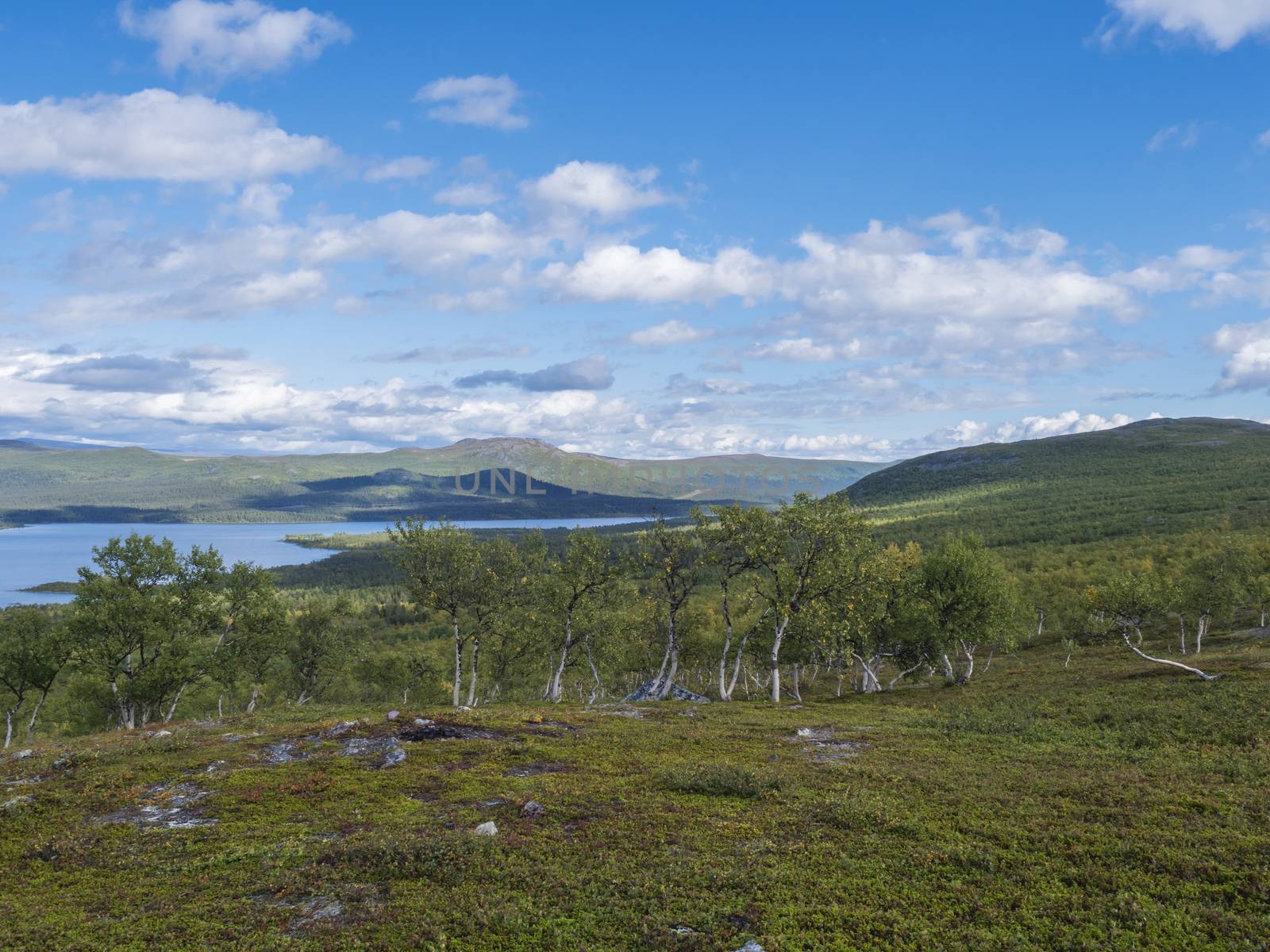 Lapland landscape with beautiful river Lulealven, snow capped mountain, birch tree and footpath of Kungsleden hiking trail near Saltoluokta, north of Sweden wild nature. Summer blue sky.