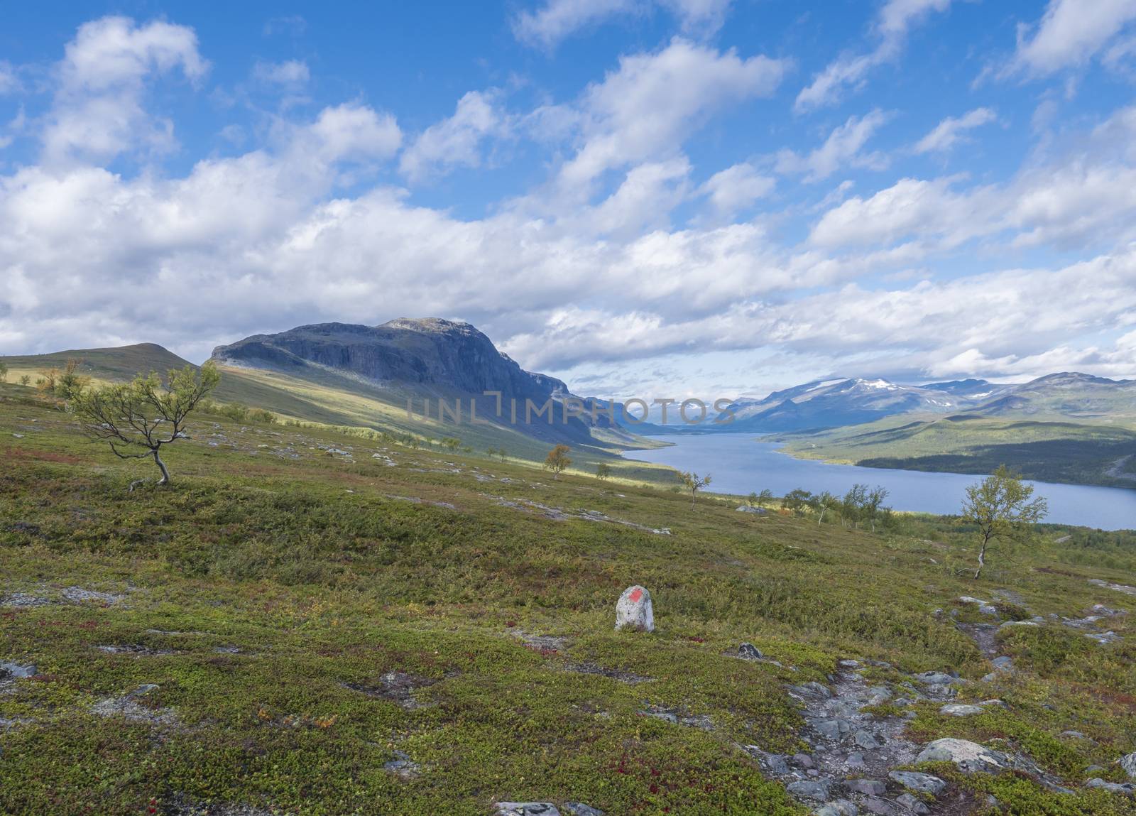 Lapland landscape with beautiful river Lulealven, snow capped mountain, birch tree and footpath of Kungsleden hiking trail near Saltoluokta, north of Sweden wild nature. Summer blue sky by Henkeova