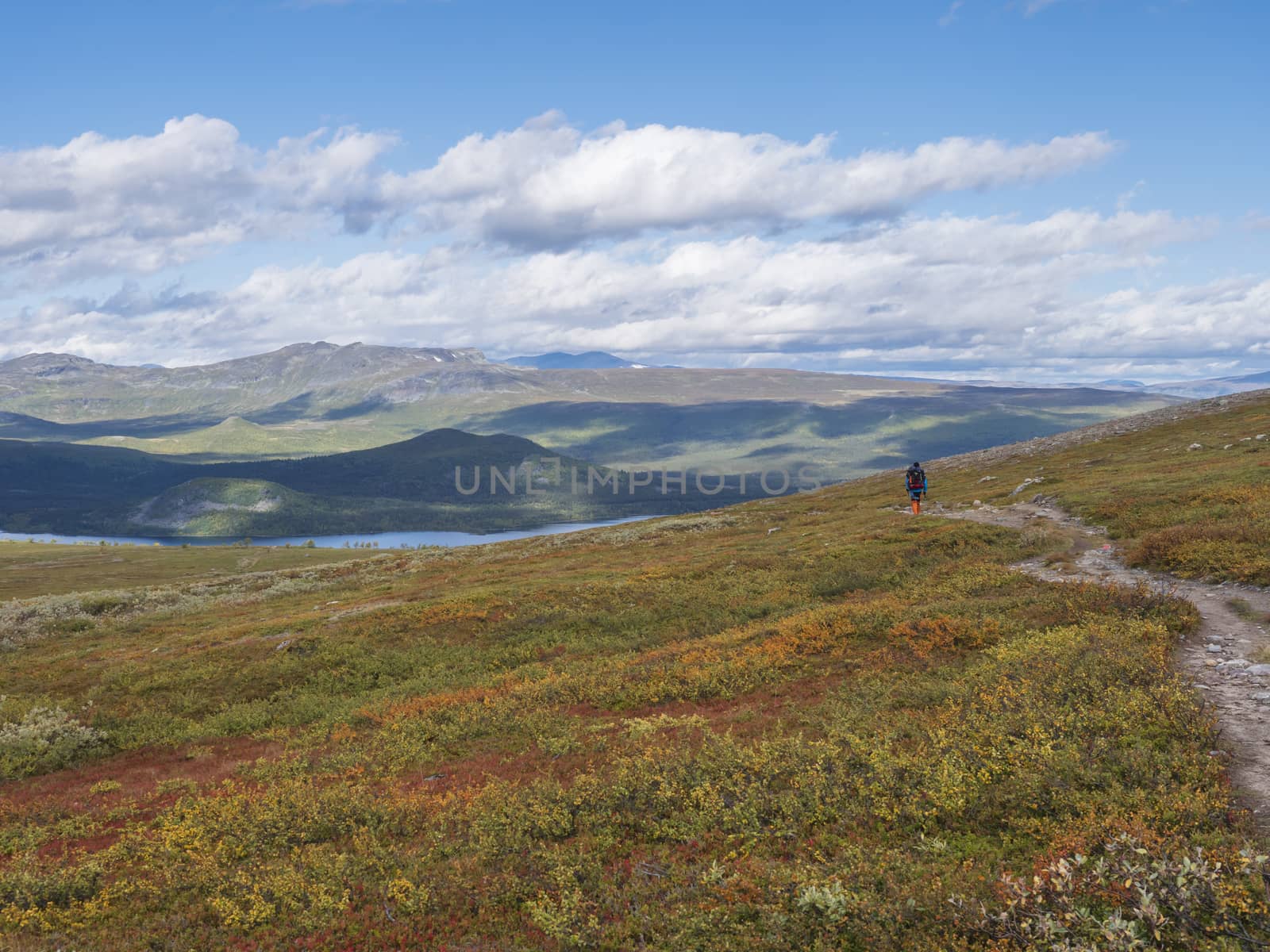 Lonely man hiker at Kungsleden hiking trail with Lapland nature with green mountains, river Lulealven, rock boulders, autumn colored bushes, birch tree and heath. Blue sky white clouds