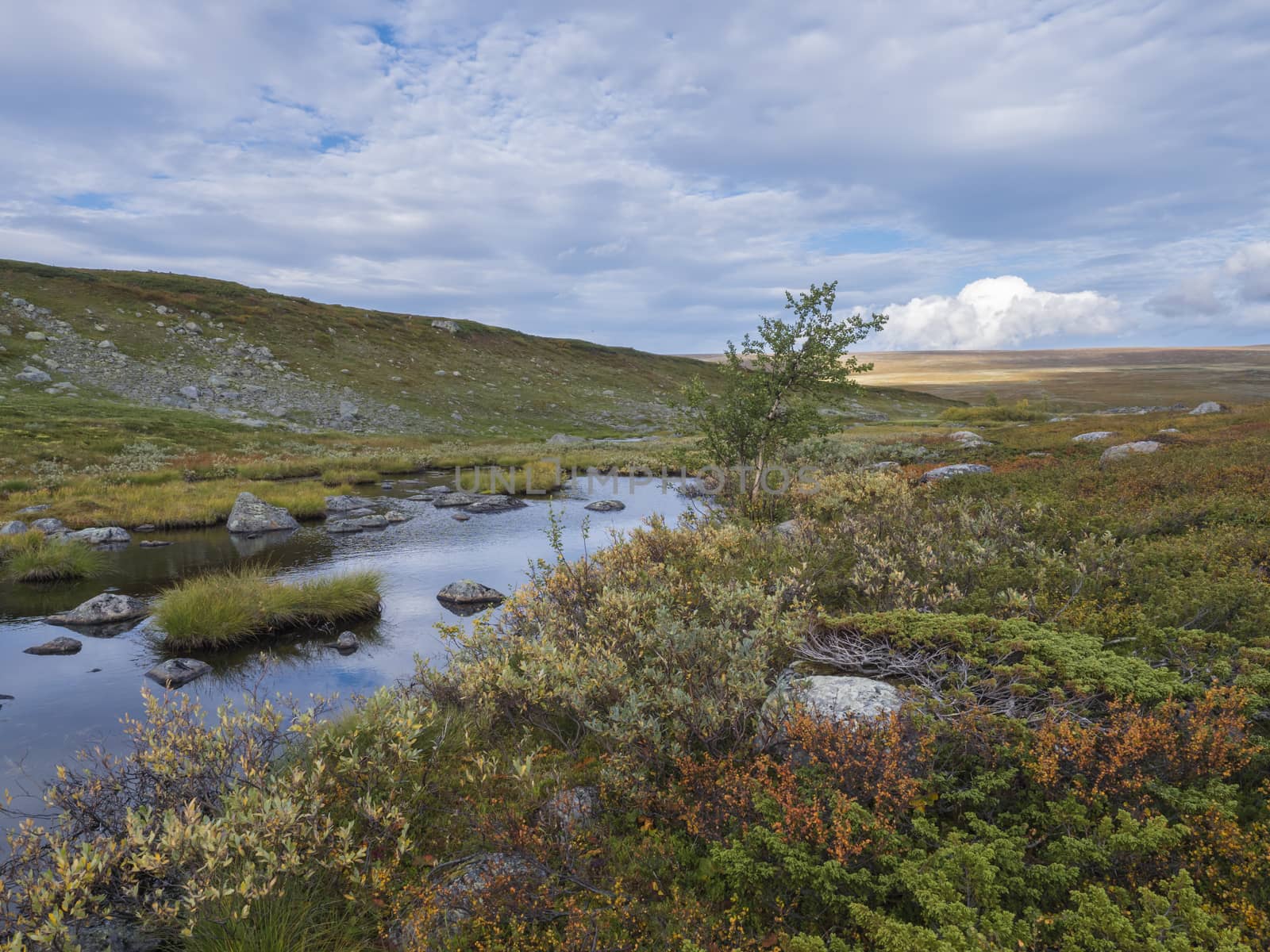Lapland landscape with small pond, stones boulders, autumn colored bushes, birch tree,grass and mountains at Kungsleden hiking trail near Saltoluokta, Sweden. Blue sky white clouds