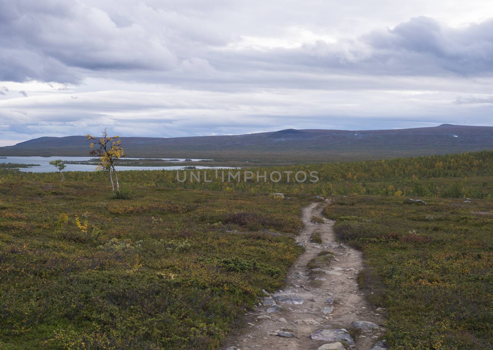 Lapland landscape with Kungsleden hiking trail in northern Sweden. Wild nature with Kaskajaure lake, mountains, autumn colored bushes, birch trees and heath. Cloudy sky by Henkeova