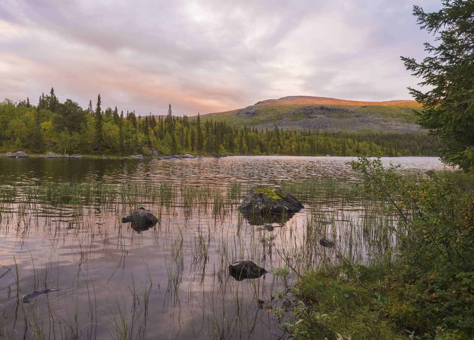 Orange pink sunset over lake Sjabatjakjaure in Parte in Sweden Lapland. Mountains, birch trees, spruce forest, rock boulders and grass. Sky, clouds and clear water. by Henkeova