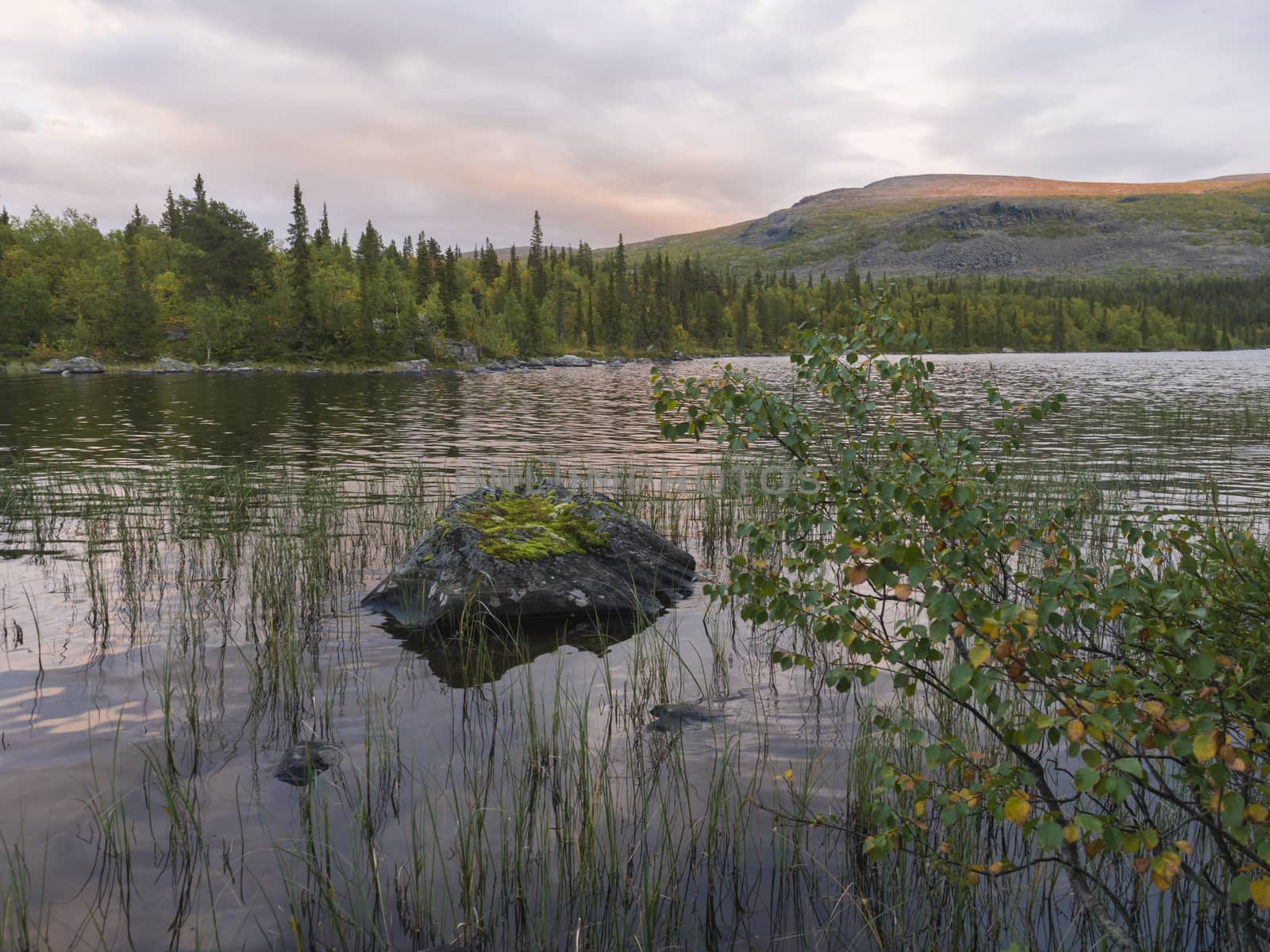 Orange pink sunset over lake Sjabatjakjaure in Parte in Sweden Lapland. Mountains, birch trees, spruce forest, rock boulders and grass. Sky, clouds and clear water