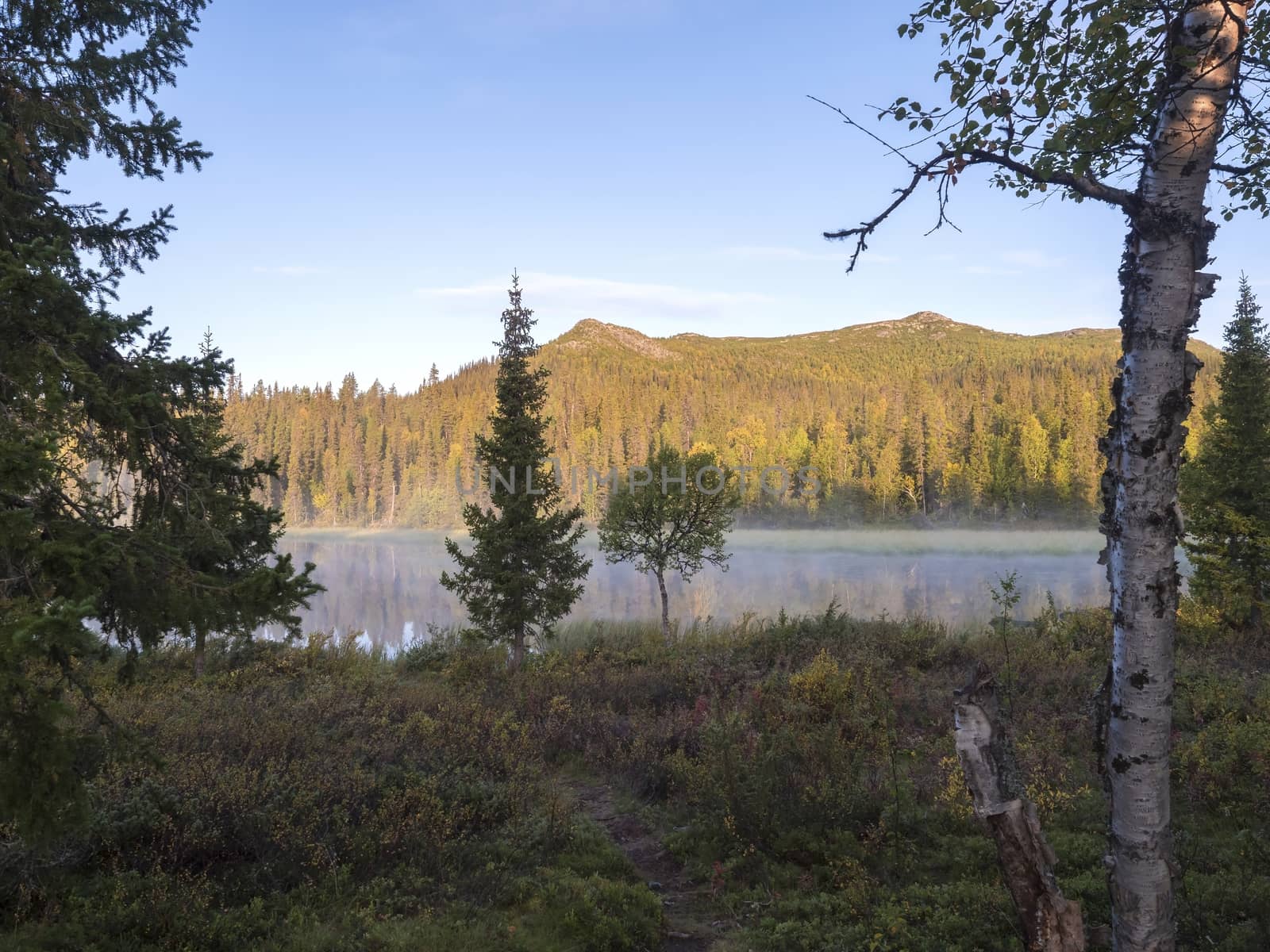 Beautiful morning sunrise over lake Sjabatjakjaure with haze mist in Sweden Lapland nature. Mountains, birch trees, spruce forest, rock boulders and grass. Sky, clouds and clear water. by Henkeova