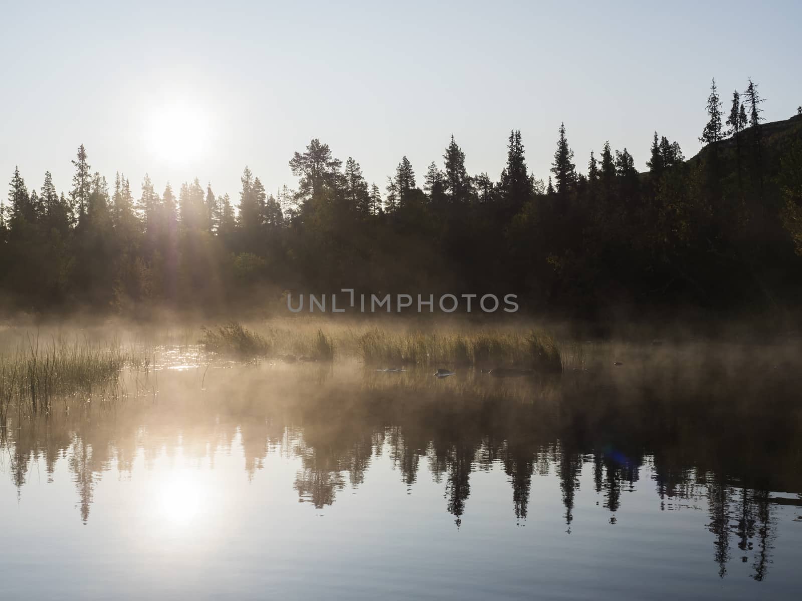 Beautiful morning orange sunrise over lake Sjabatjakjaure with haze mist in Sweden Lapland nature. Mountains, birch trees, spruce forest, rock boulders and grass. Sky, clouds and clear water. by Henkeova