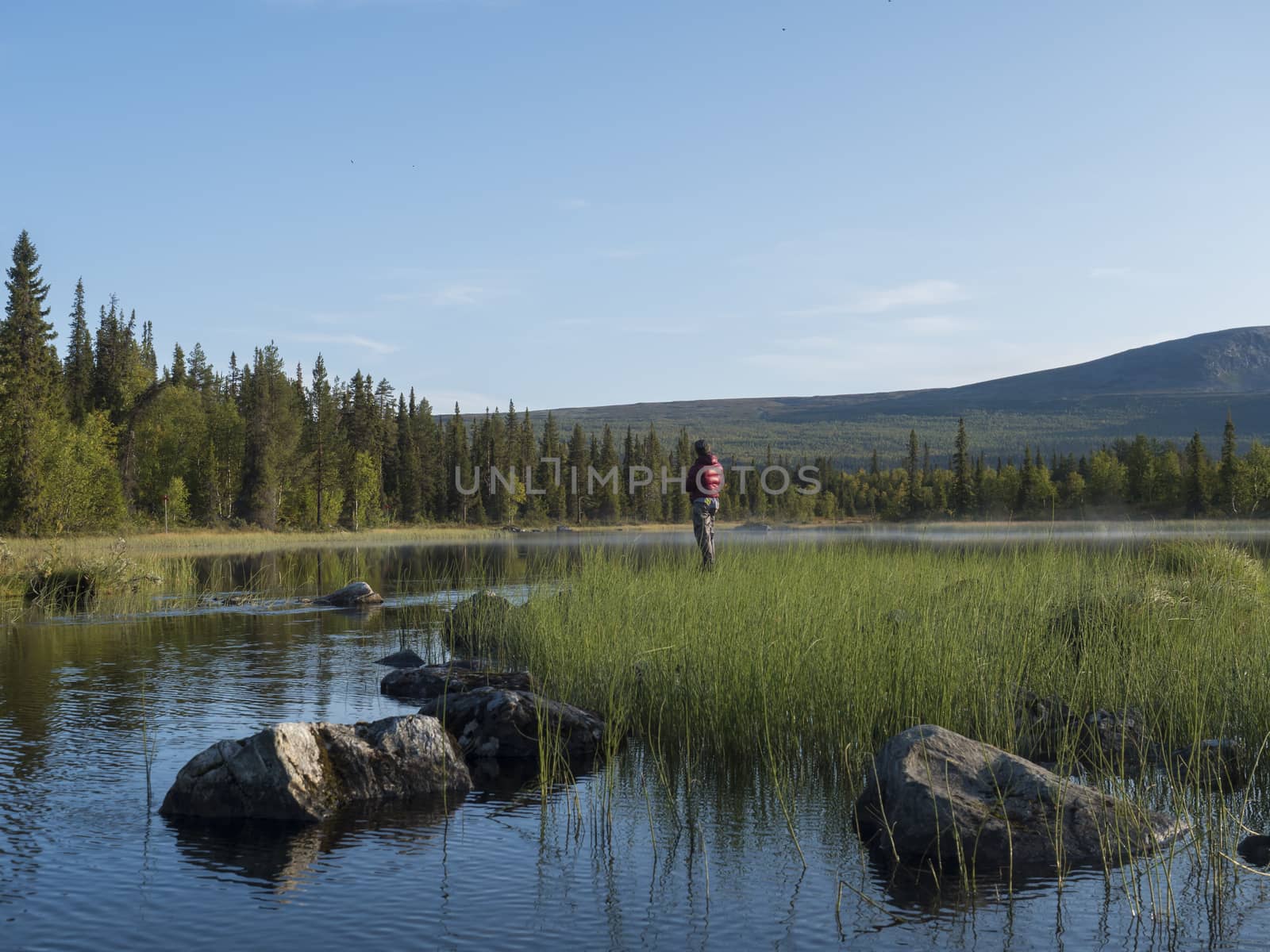 Fisherman man catching fish at lake Sjabatjakjaure in Beautiful sunny morning haze mist in Sweden Lapland nature. Mountains, birch trees, spruce forest. Blu sky by Henkeova