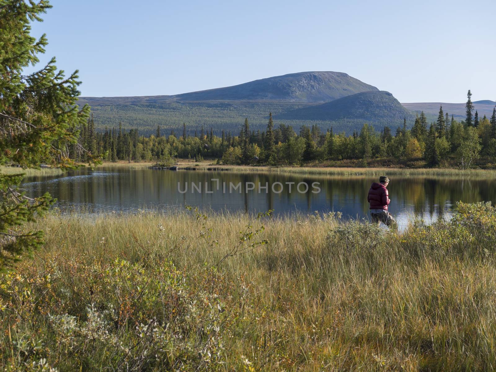 Fisherman man catching fish at lake Sjabatjakjaure in Beautiful sunny morning haze mist in Sweden Lapland nature. Mountains, birch trees, spruce forest. Blu sky by Henkeova