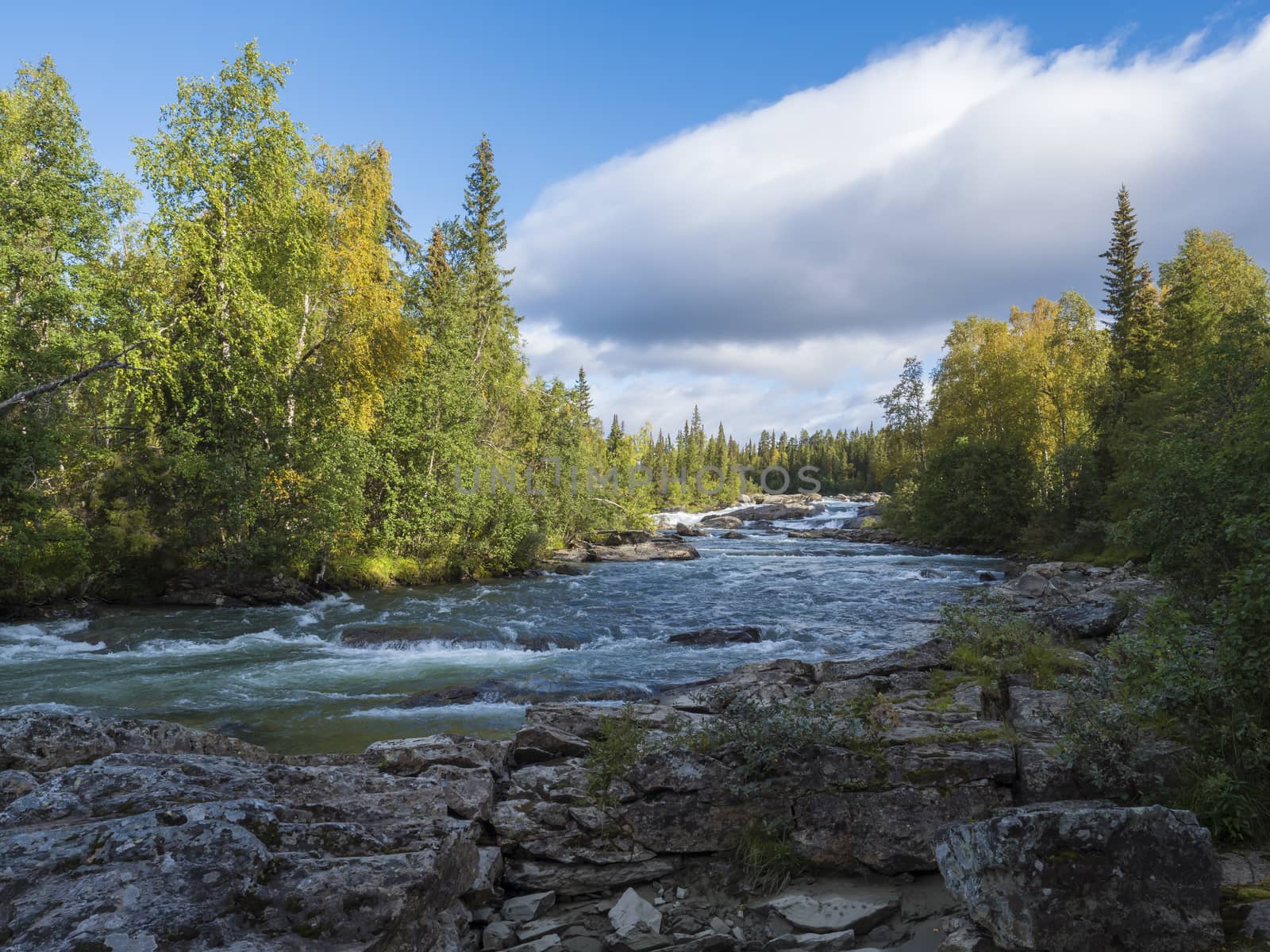 Fisherman man catching fish at beautiful northern landscape with azure blue river Kamajokk, mountains, boulders and spruce tree forest in Kvikkjokk in Swedish Lapland. Summer sunny day, white clouds.