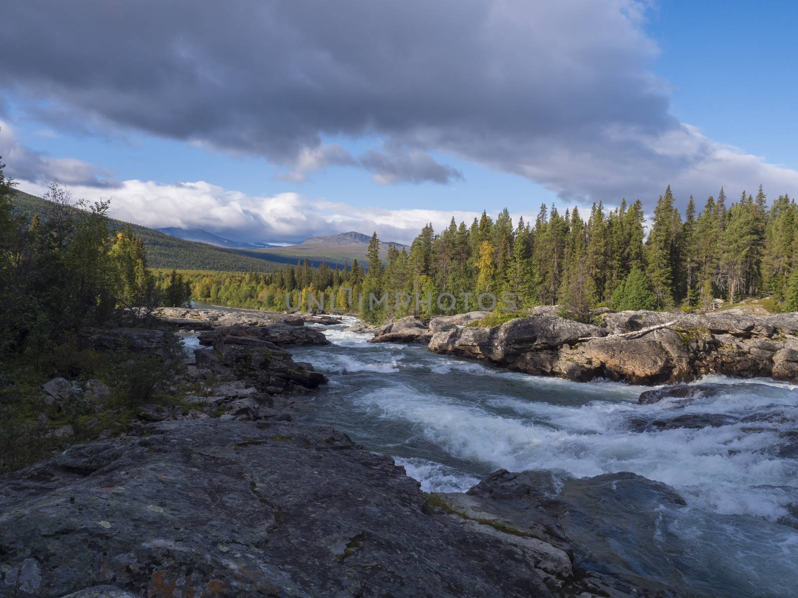 Beautiful northern landscape with wild glacier river Kamajokk, boulders and spruce tree forest in Kvikkjokk in Swedish Lapland. Summer sunny day, golden hour, dramatic clouds.