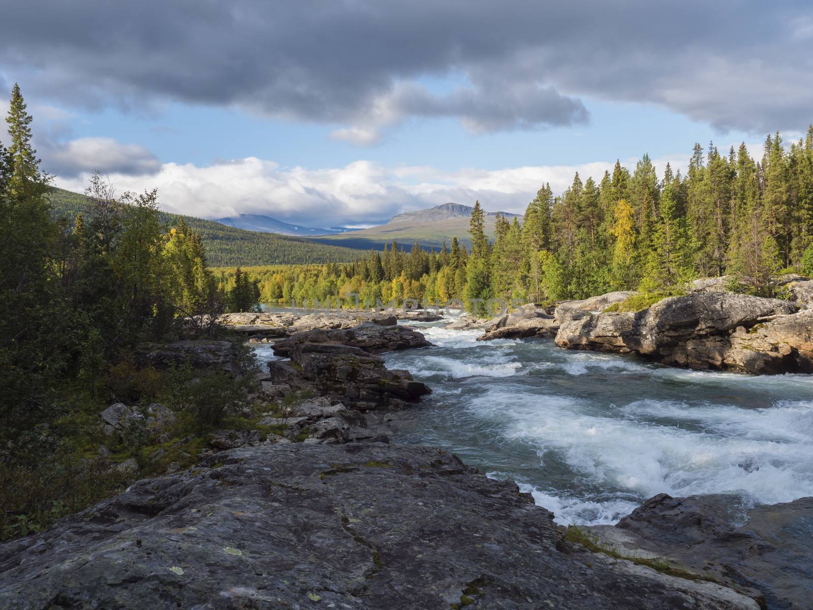 Beautiful northern landscape with wild glacier river Kamajokk, boulders and spruce tree forest in Kvikkjokk in Swedish Lapland. Summer sunny day, golden hour, dramatic clouds.