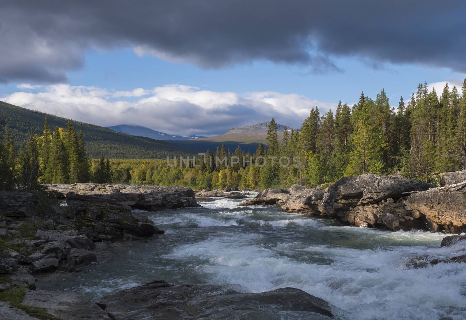 Beautiful northern landscape with wild glacier river Kamajokk, boulders and spruce tree forest in Kvikkjokk in Swedish Lapland. Summer sunny day, golden hour, dramatic clouds.