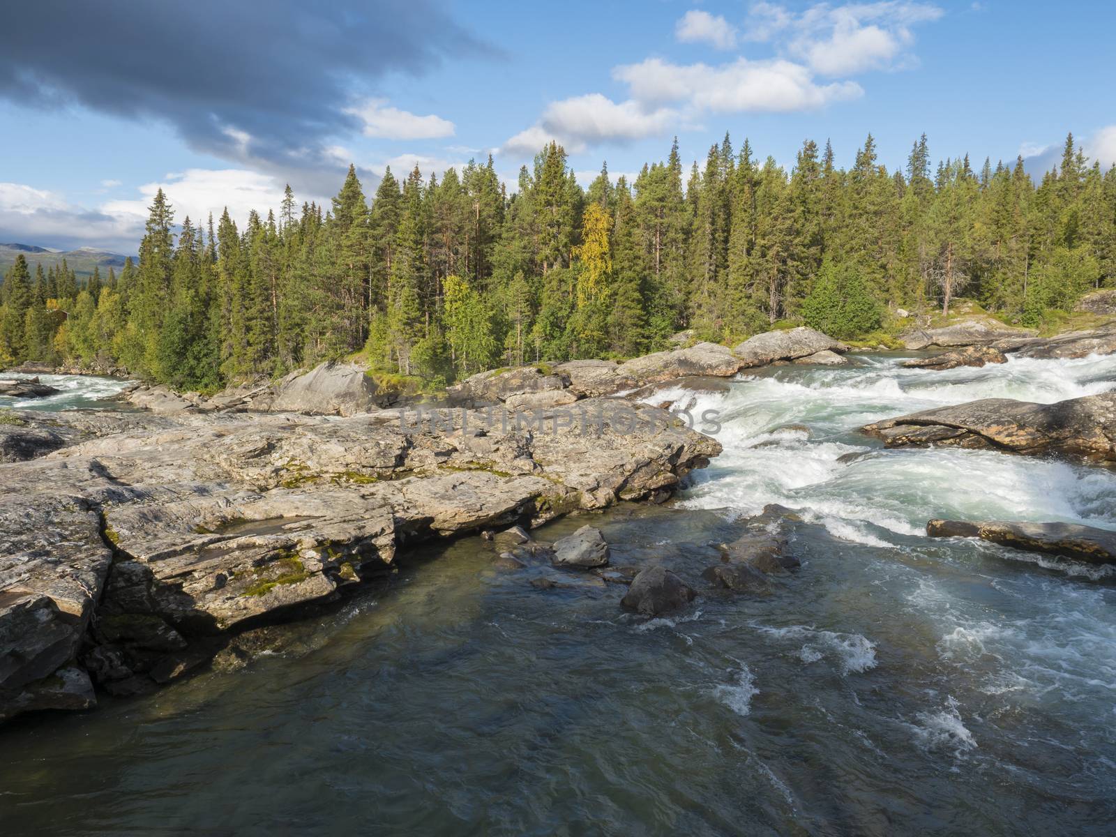 Beautiful northern landscape with wild glacial river Kamajokk, boulders and spruce tree forest in Kvikkjokk in Swedish Lapland. Summer sunny day, golden hour, dramatic clouds.