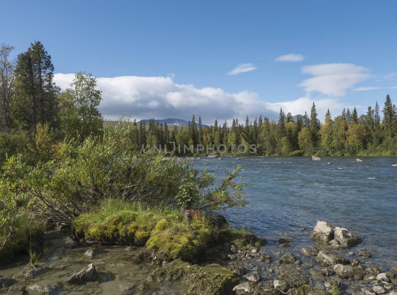 Beautiful northern landscape with wild glacier river Kamajokk, boulders and spruce tree forest in Kvikkjokk in Swedish Lapland. Summer sunny day, golden hour, dramatic clouds.