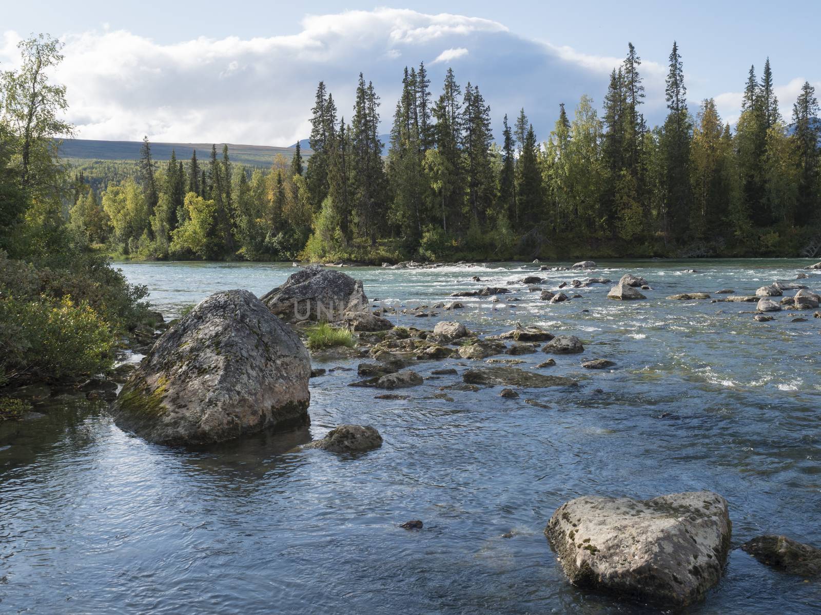 Beautiful northern landscape with azure blue river Kamajokk, mountains, boulders and spruce tree forest in Kvikkjokk in Swedish Lapland. Summer sunny day, white clouds.