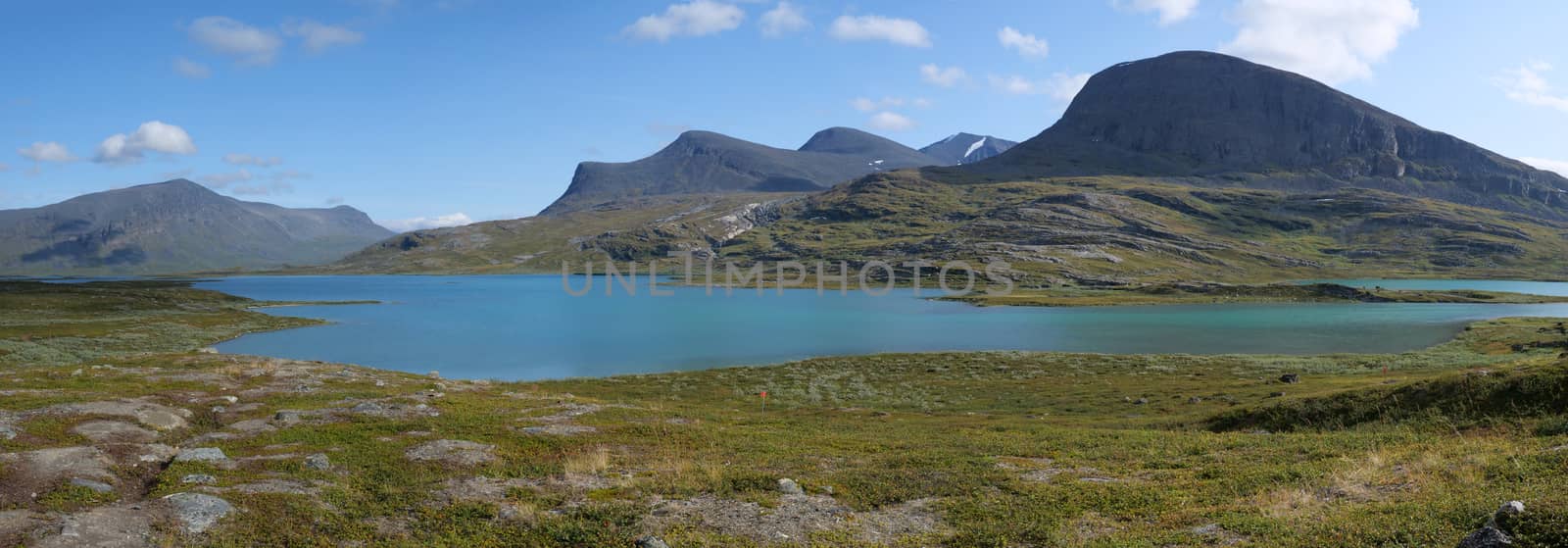 Lapland nature landscape wide panorama of blue glacial lake Allesjok near Alesjaure, birch tree forest, snow capped mountains. Northern Sweden, at Kungsleden hiking trail. Summer sunny day.