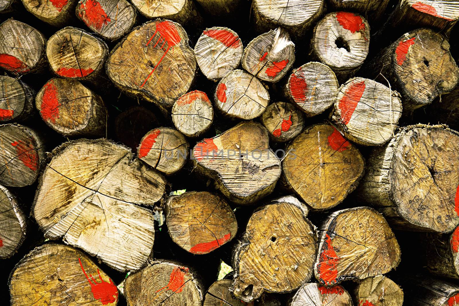 Log piles of old for the lumber industry with texture background.