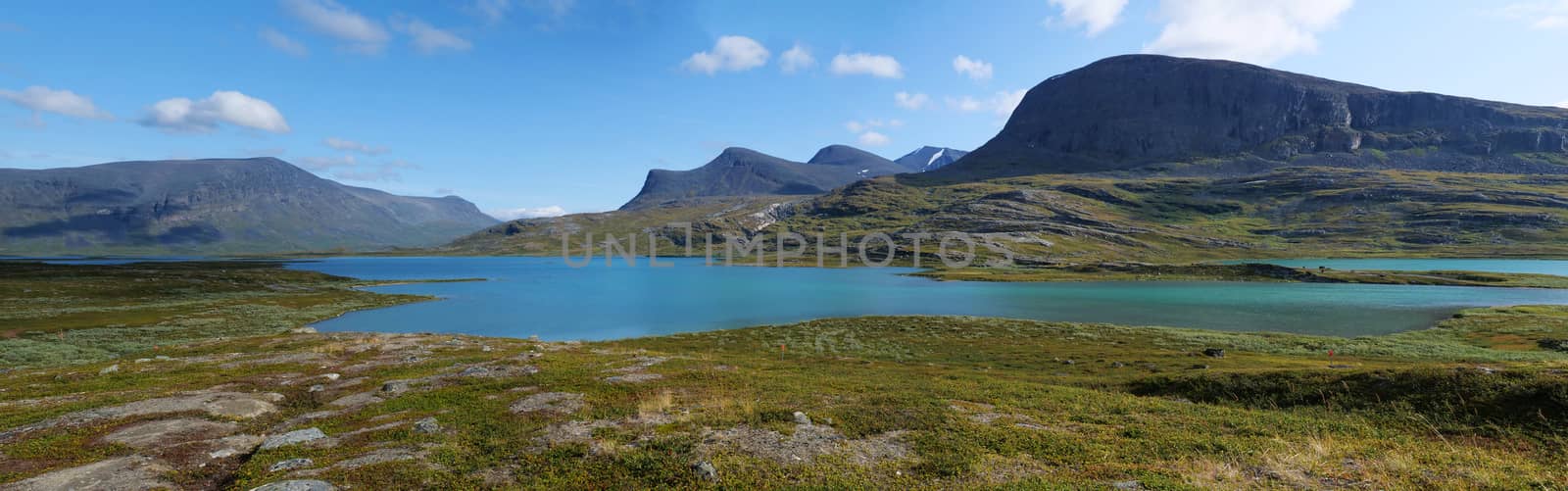Lapland nature landscape wide panorama of blue glacial lake Allesjok near Alesjaure, birch tree forest, snow capped mountains. Northern Sweden, at Kungsleden hiking trail. Summer sunny day.
