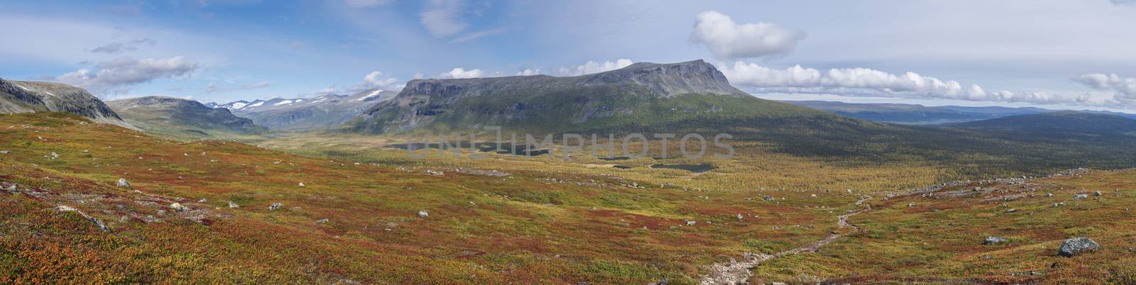 Panoramic landscape of wild nature in Sarek national park in Sweden Lapland with snow capped mountain peaks, river and lake, birch and spruce tree forest. Early autumn colors, blue sky white clouds. by Henkeova