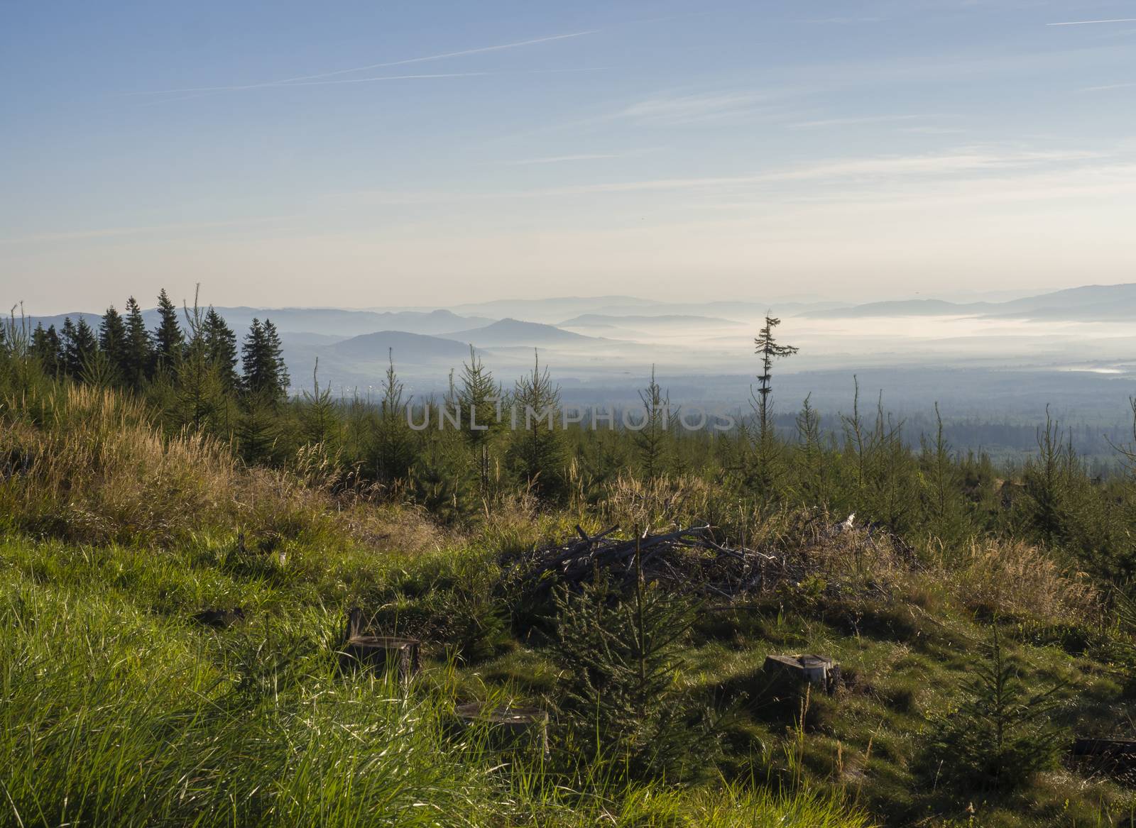 Landscape of summer mountains in morning. A view of the blue misty slopes of the mountains in the distance. Tall pine trees and coniferous forest hills in fog and rays of sunlight. Travel background, tatra mountain, Slovakia.
