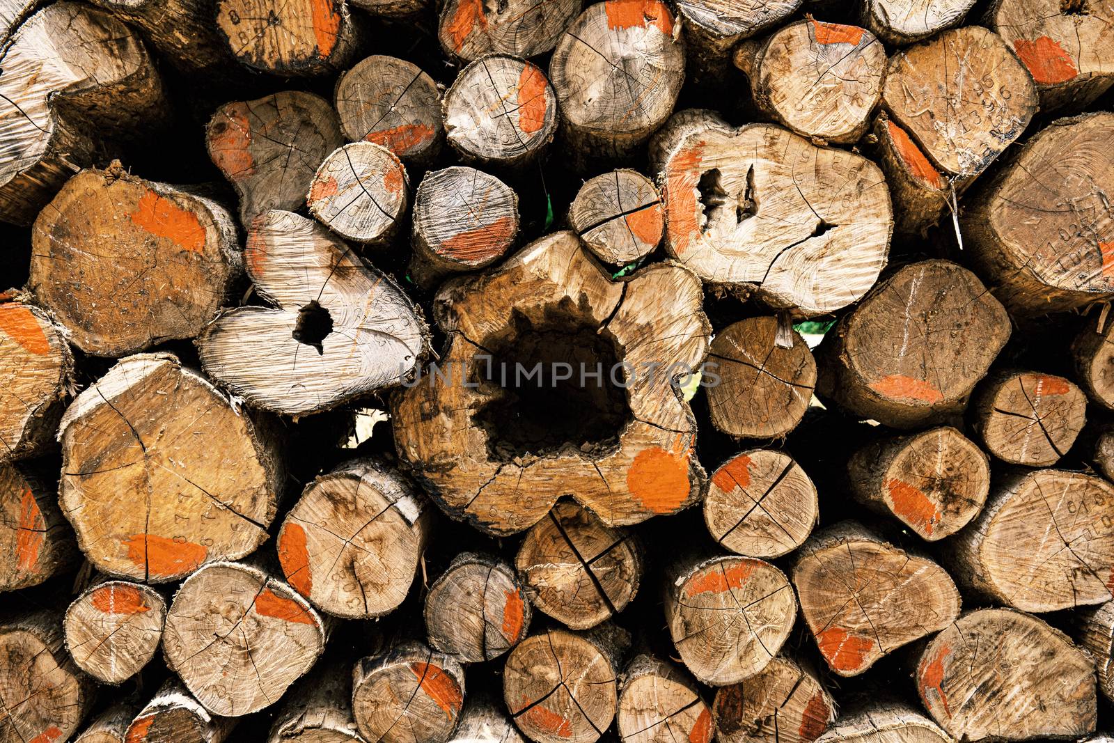 Log piles for the lumber industry with texture background.