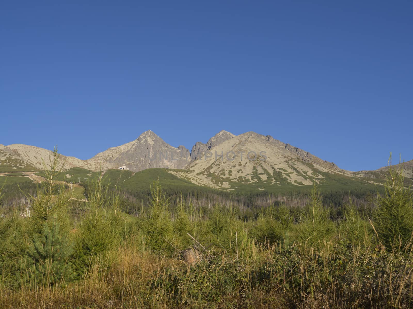 Tatra Mountains range gold colored sunrise light ,from Tatranska Lomnice with green trees and grass. Early autumn panorama.