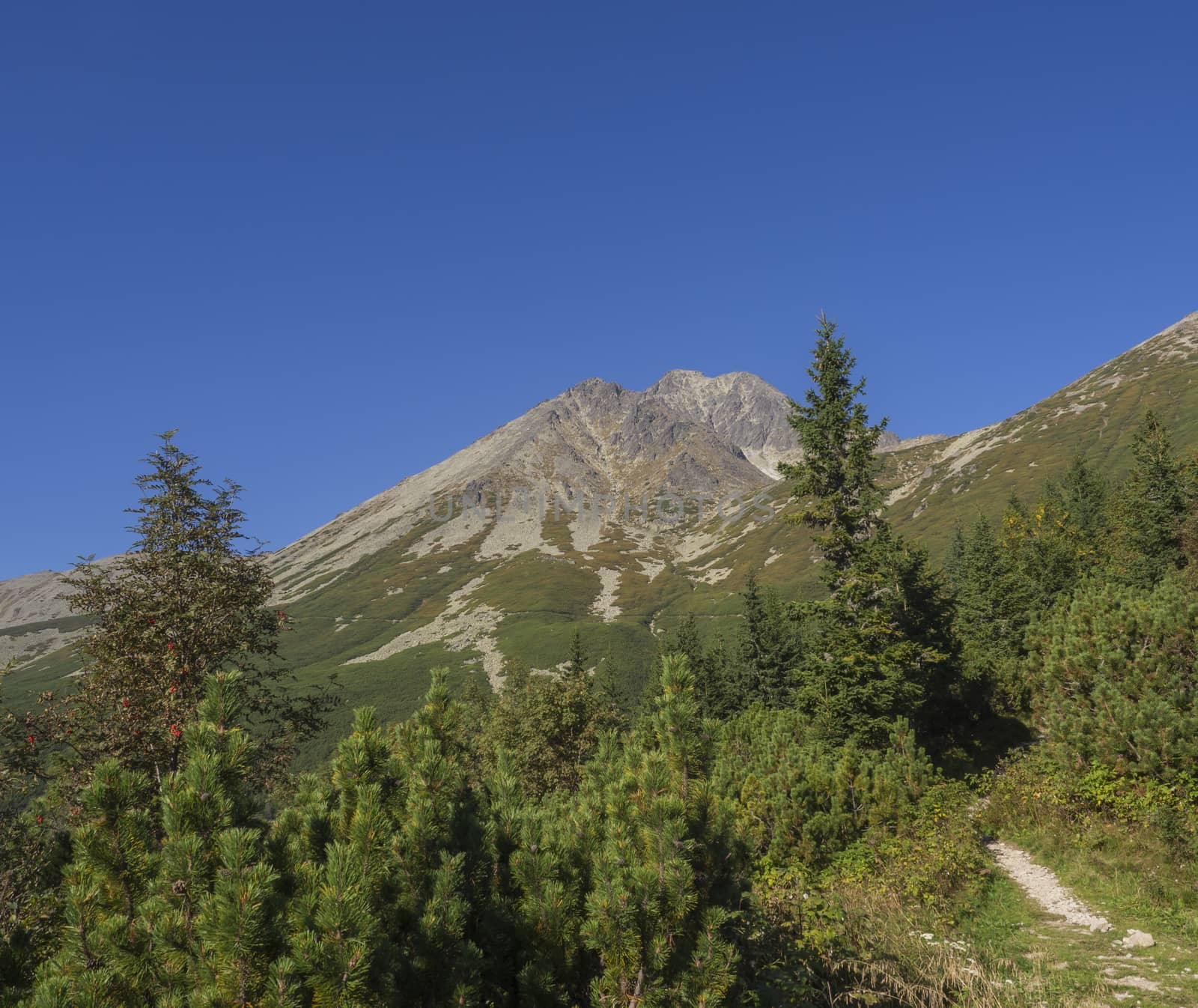 Tatra Mountains range gold colored sunrise light ,from Tatranska Lomnice with green trees and grass. Early autumn mountain landscape.