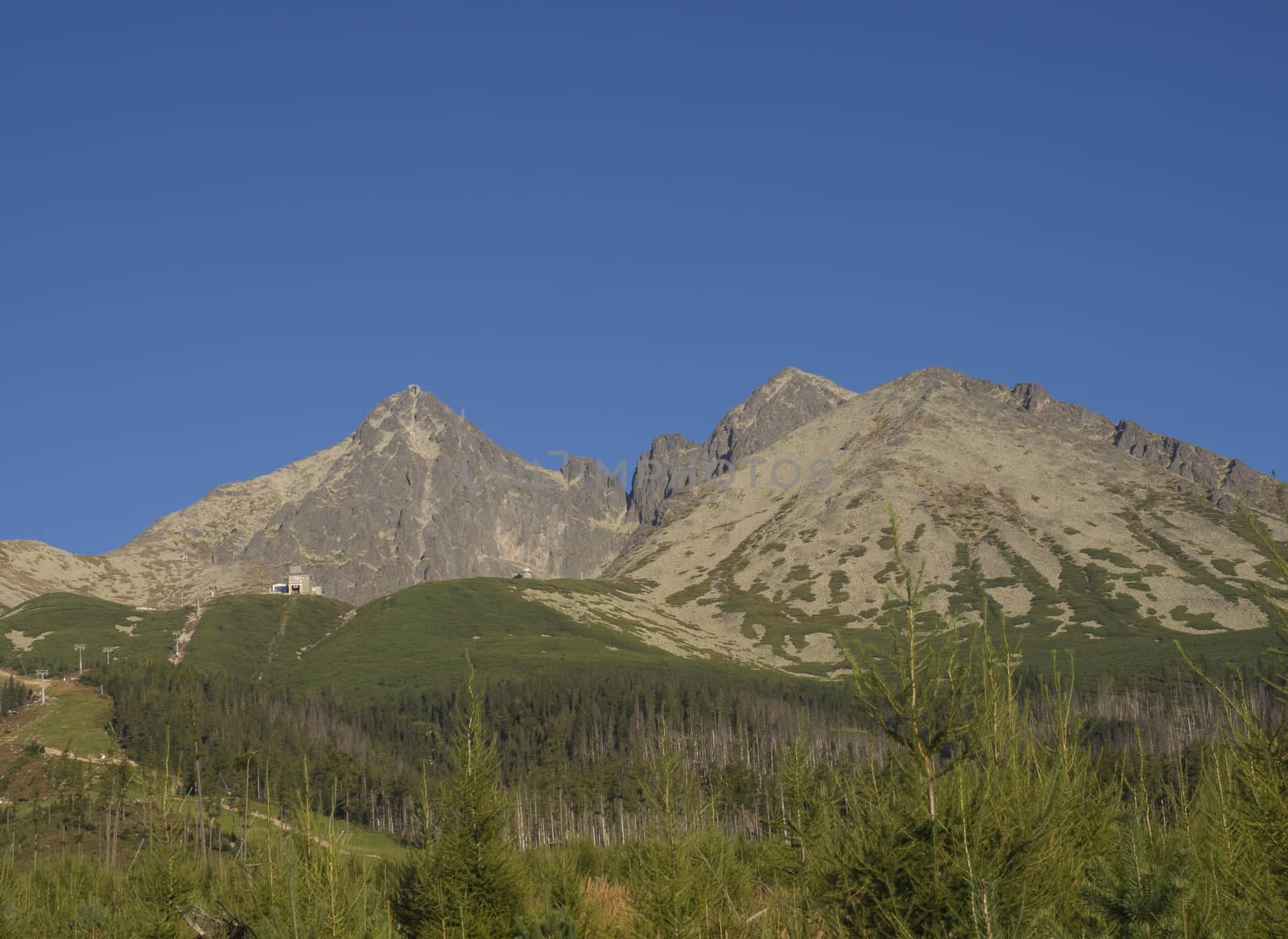 Tatra Mountains range gold colored sunrise light ,from Tatranska Lomnice with green trees and grass. Early autumn panorama.