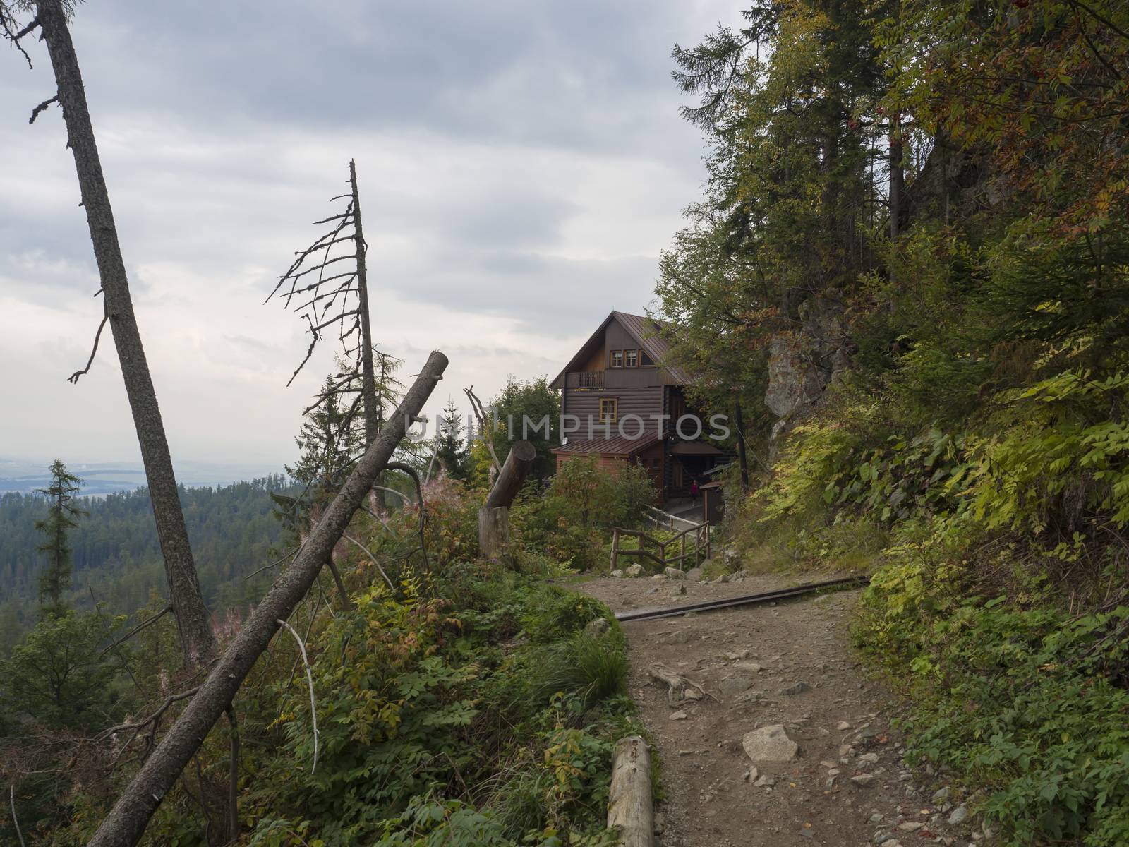 Footpath leading to Mountain Hotel Bilikova Chata, wooden cottage at High Tatra mountain near Stary Smokovec Slovakia, forest and moody sky.