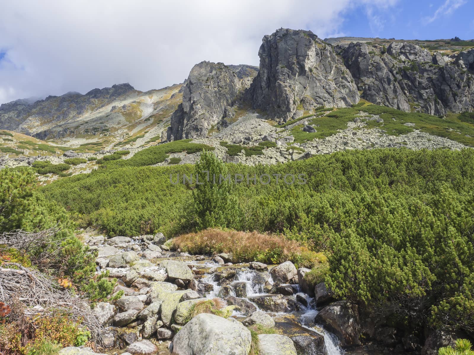 wild river stream on Footpath trail from Strbske Pleso, beautiful nature with pine trees and rocky montain peak, High Tatras mountain, Slovakia, late summer sunny day, blue sky background.