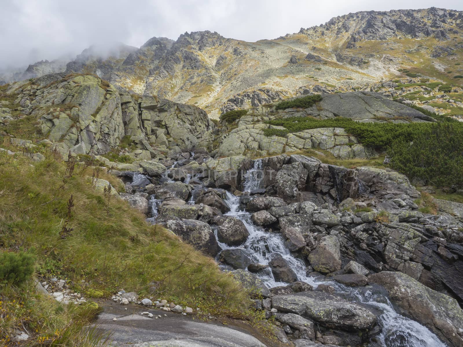 Mountain river stream cascade on footpath from Valley Mlynska Dolina Strbske pleso village and High Tatra Mountains, Slovakia, summer day