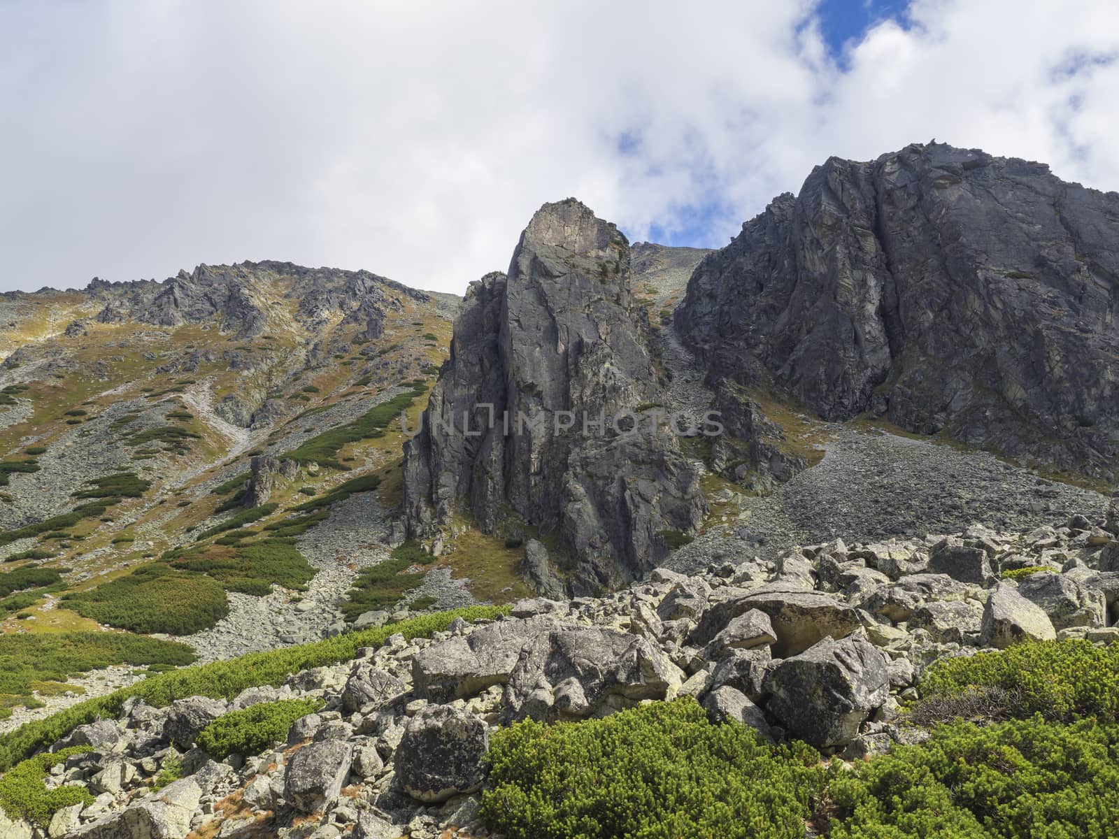 Beautiful sharp mountain peaks with pine trees, High Tatras mountain, Slovakia, late summer sunny day, blue sky background.