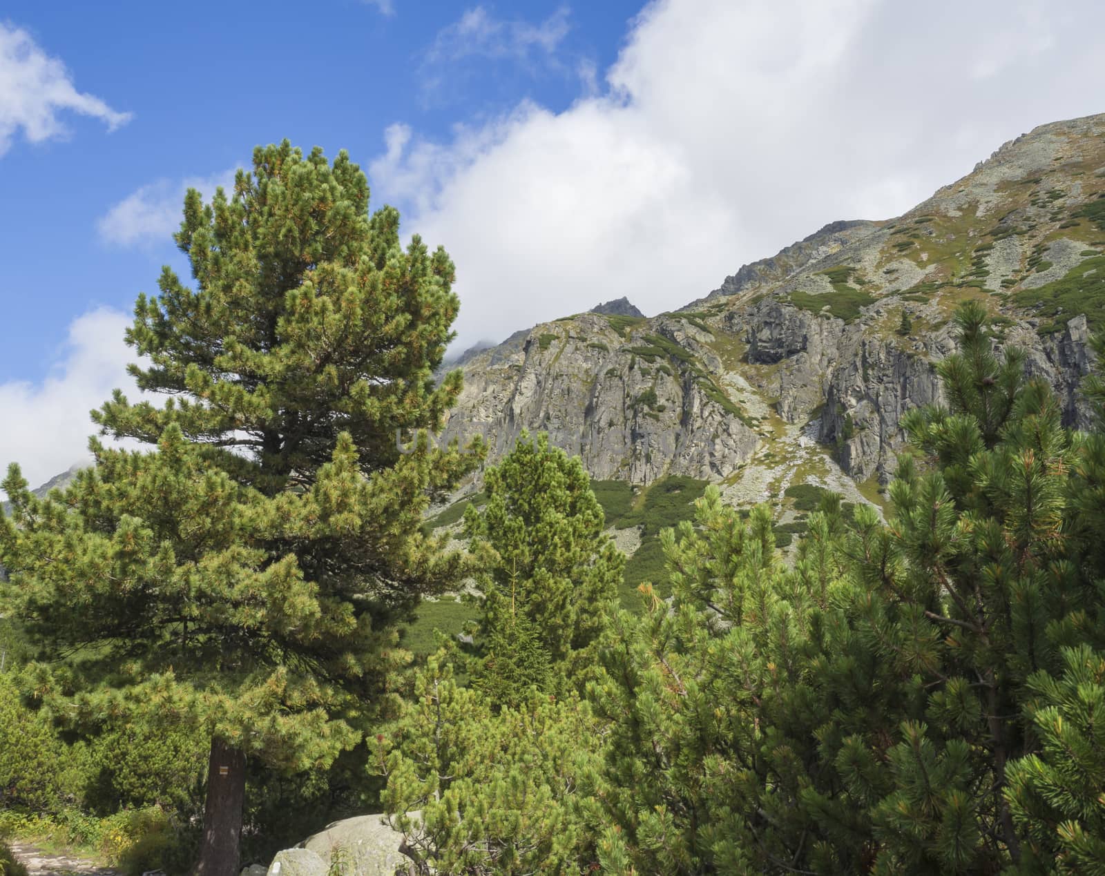 Beautiful sharp mountain peaks with pine trees and hiking route trail sign in High Tatras mountain, Slovakia, late summer sunny day, blue sky background.
