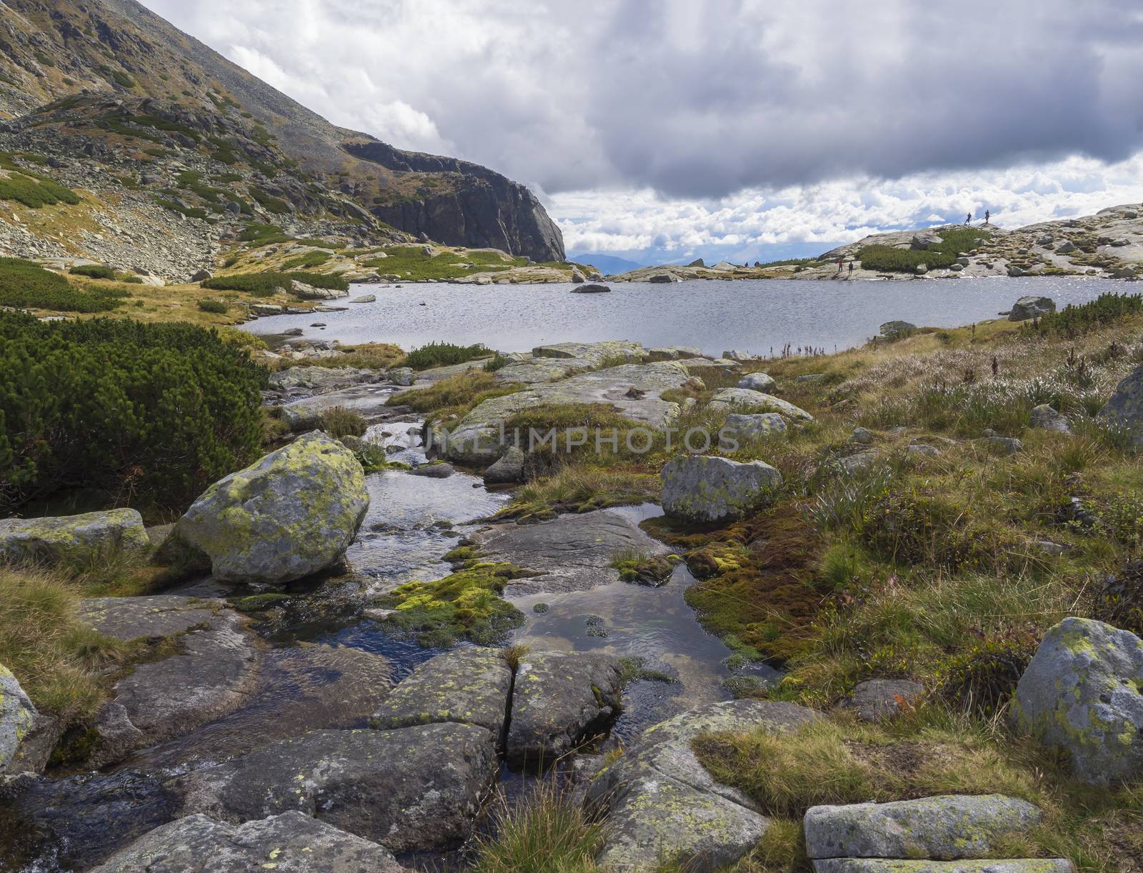 Pleso nad Skokom, beautiful mountain lake in Mlynicka Dolina Valley with wild river stream, High Tatras mountain, Vysoke Tatry, Slovakia.