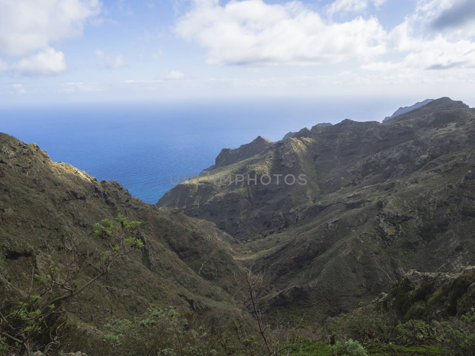 lava rock cliff with small green vegetation, blue sea horizon and sky with white clouds in anaga mountain tenerife