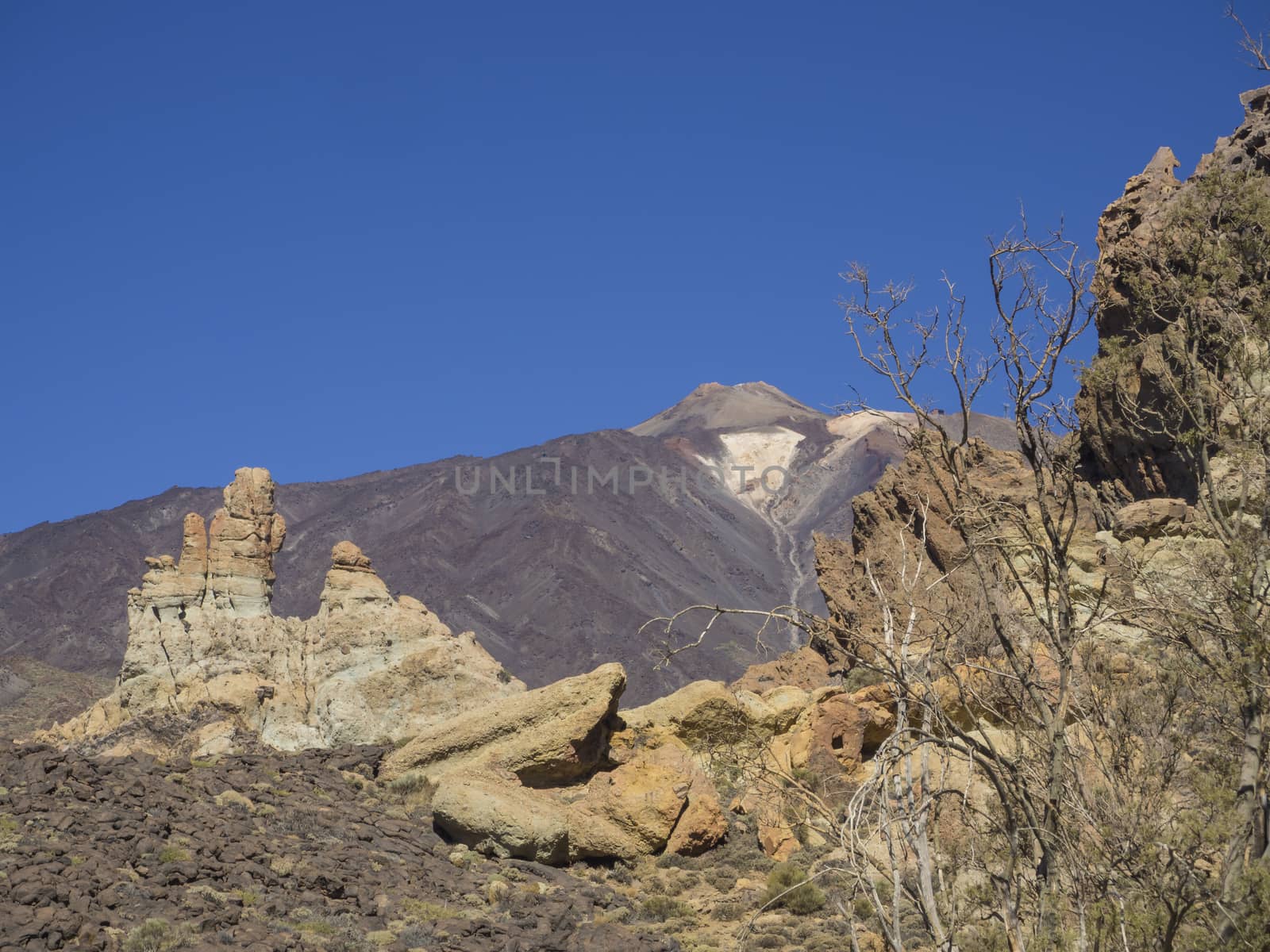 view on colorful volcano pico del teide highest spanish mountain from famous pitoresque rock formation Roques de Garcia with clear blue sky and dry trees