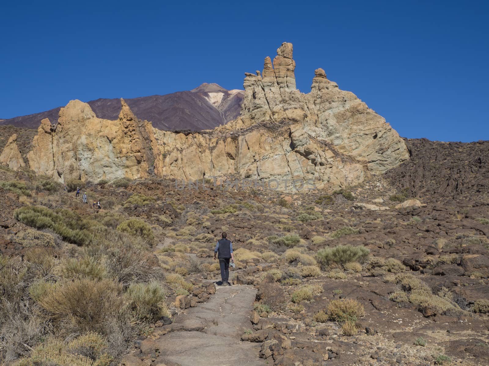 tourist people hikers on the path around famous pitoresque rock formation Roques de Garcia with view on colorful volcano pico del teide highest spanish mountain, clear blue sky background