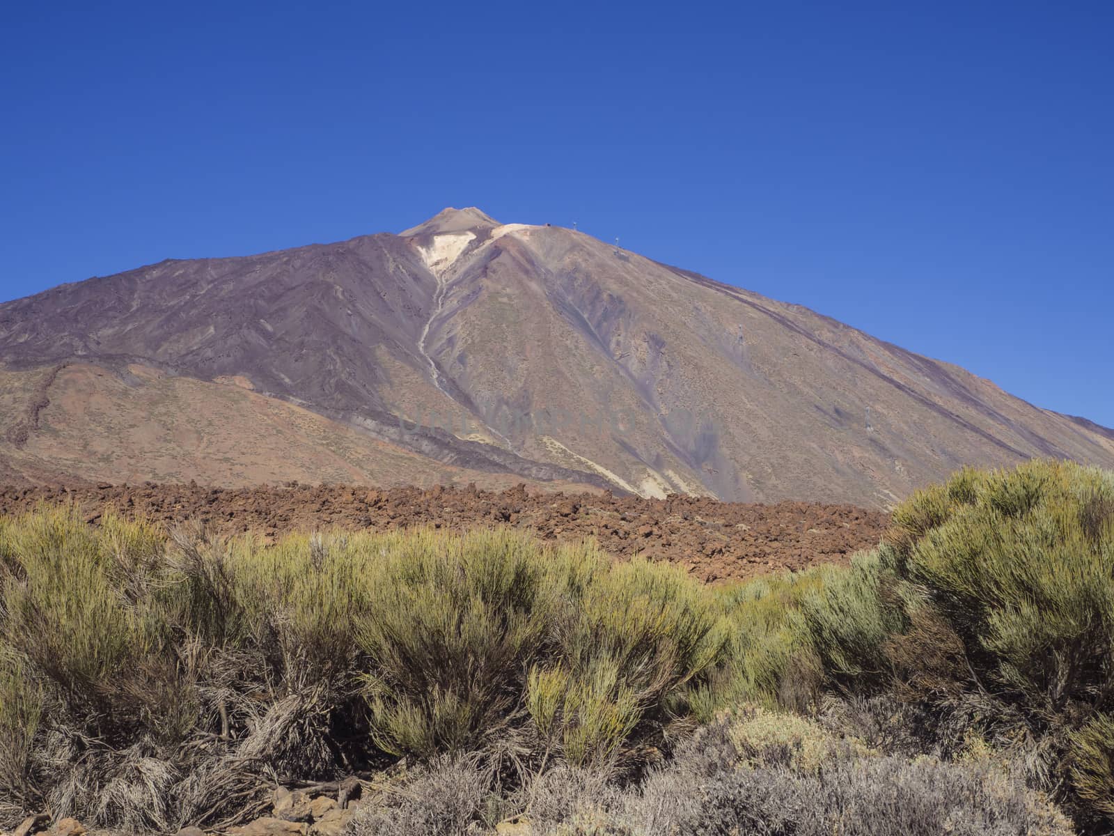 view on colorful volcano pico del teide highest spanish mountain in tenerife canary island with green bushes and clear blue sky background 