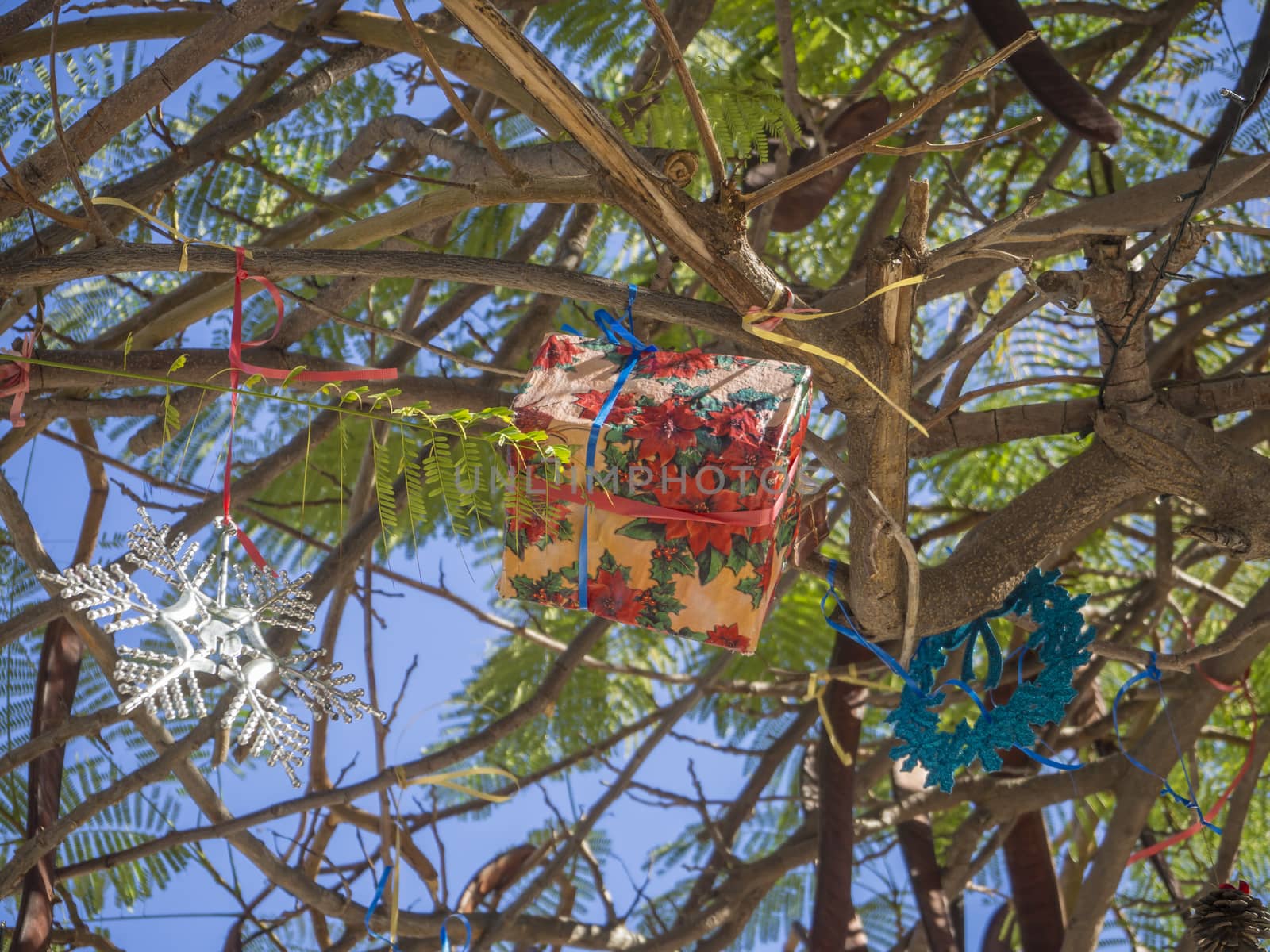 Summer Christmas trees. Tropical palm trees decorated with colourful ornaments and decorations for the holidays. Pink baubles and gift box, Tenerife, Canary Island, Spain