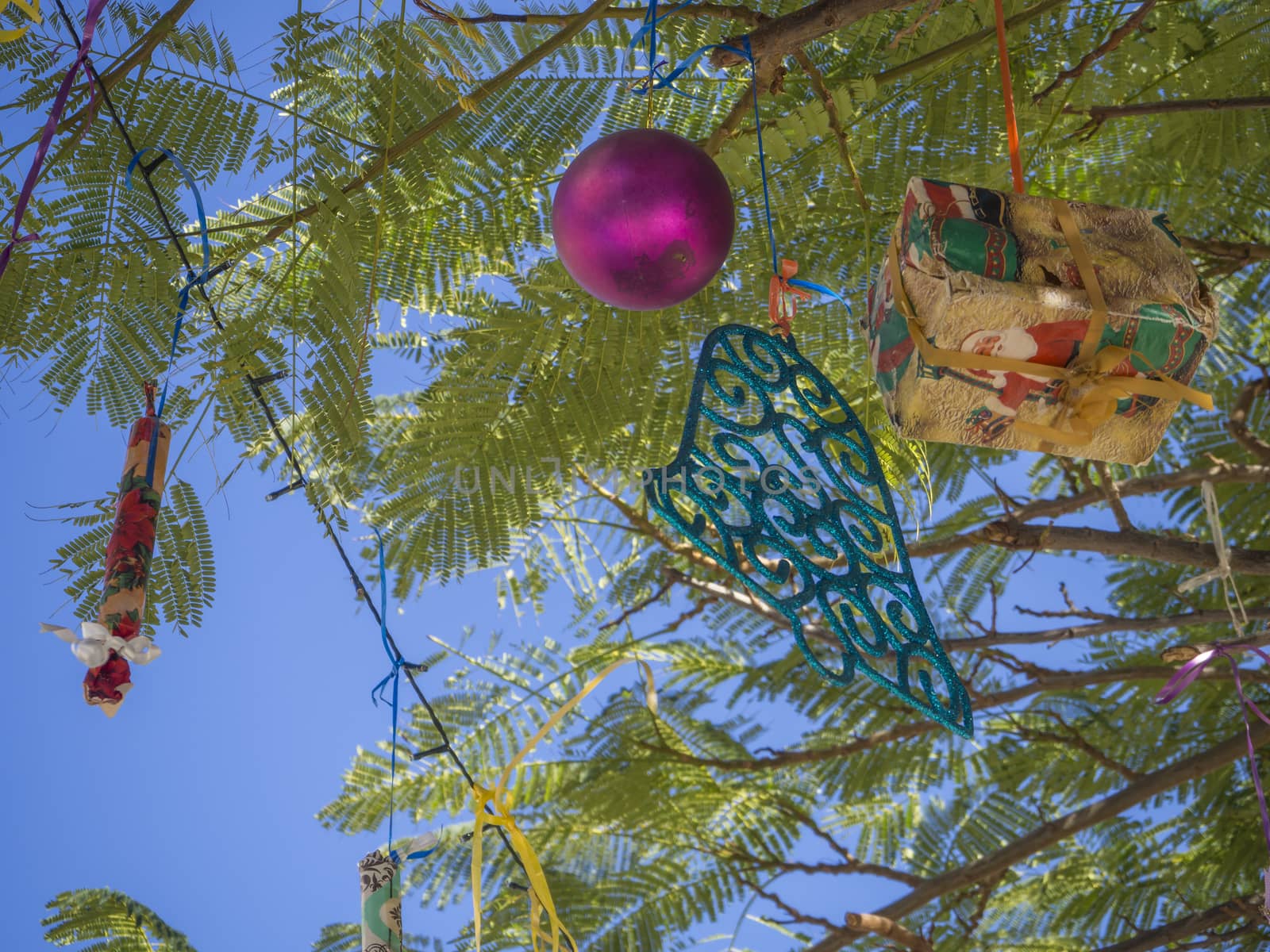 Summer Christmas trees. Tropical palm trees decorated with colourful ornaments and decorations for the holidays. Pink baubles and gift box, Tenerife, Canary Island, Spain