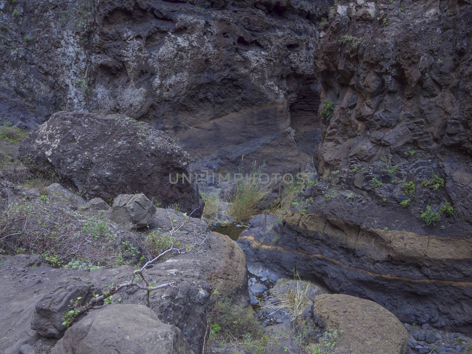 Canary Island, Tenerife, canyon Masca valley with rock, big stones, green tropical bush vegetation and small water stream