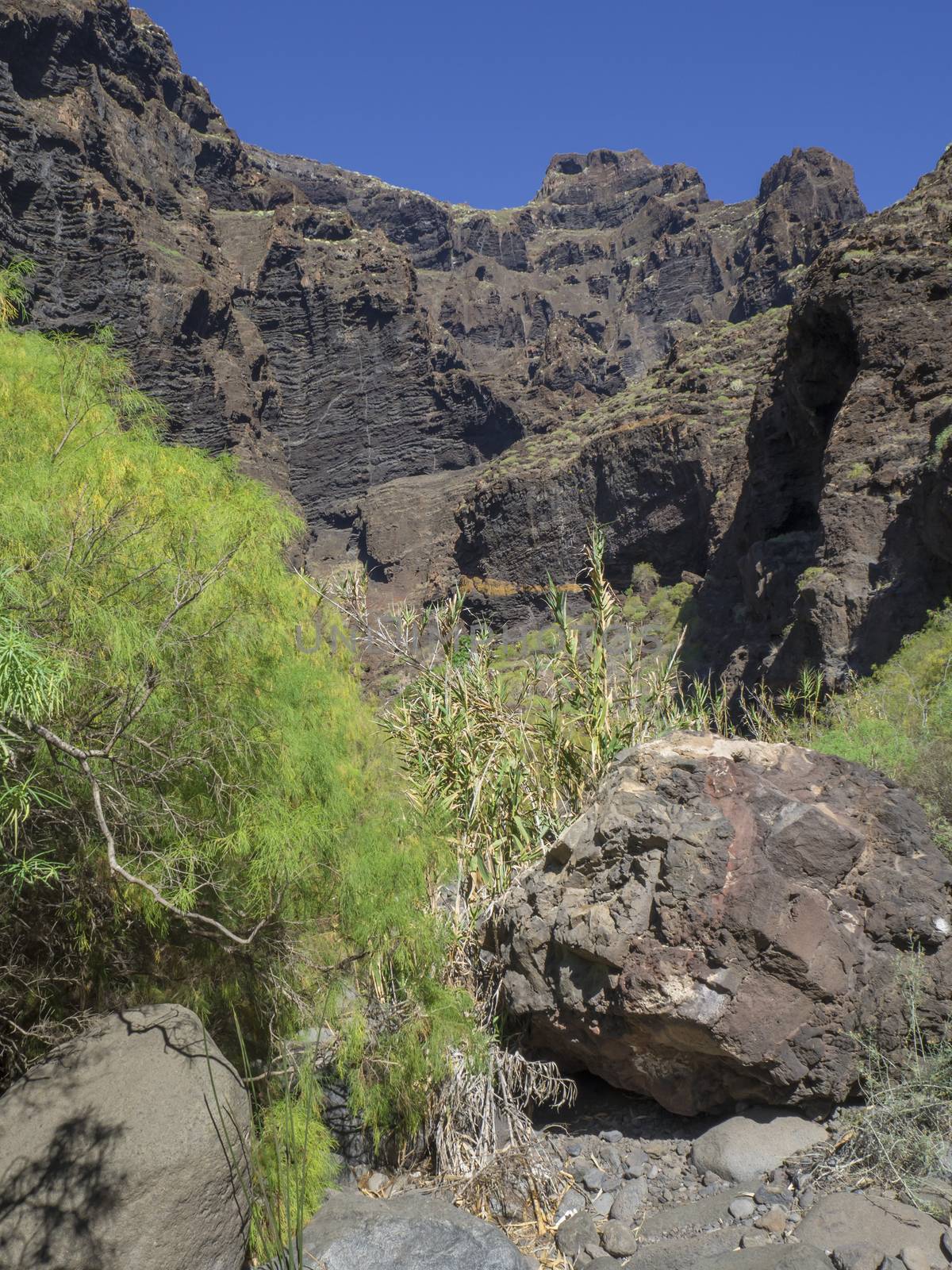 Canary Island, Tenerife,  view on canyon Masca valley with rock, big stones, green tropical bush vegetation and blue sky background