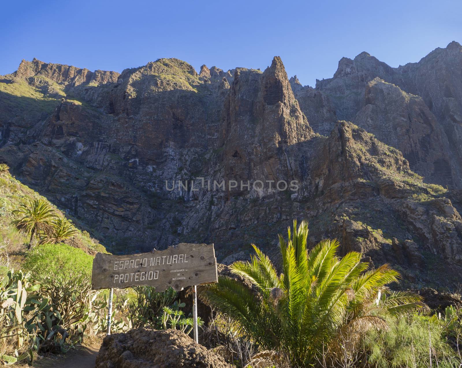 Canary Island, Tenerife, view on canyon Masca valley with wooden board with sign espacio natural protegioo, rocks, green tropical bush, palm tree and blue sky background