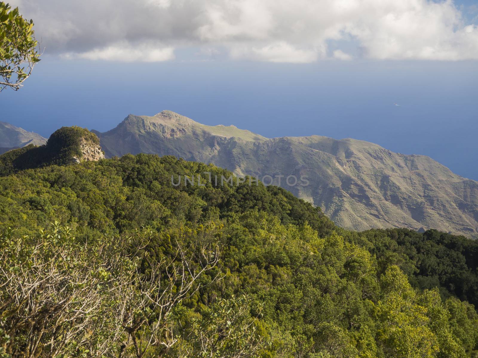 view point Amogoje with pitoresque green hills and bush, sharp rock peaks and sea in anaga mountain, tenerife  canary island spain with dramatic blue sky white clouds background